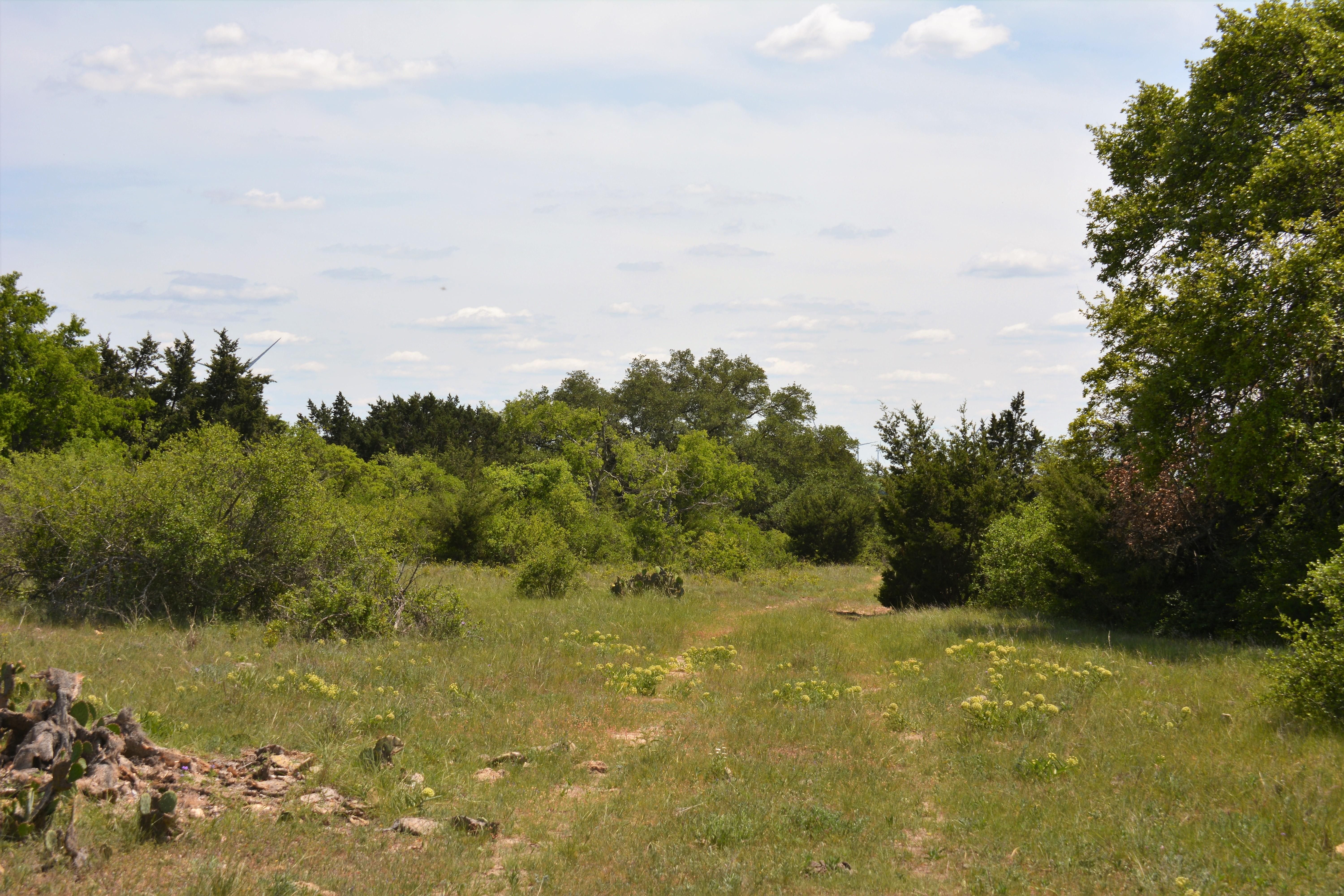 320.00 acres in Mills County, Texas