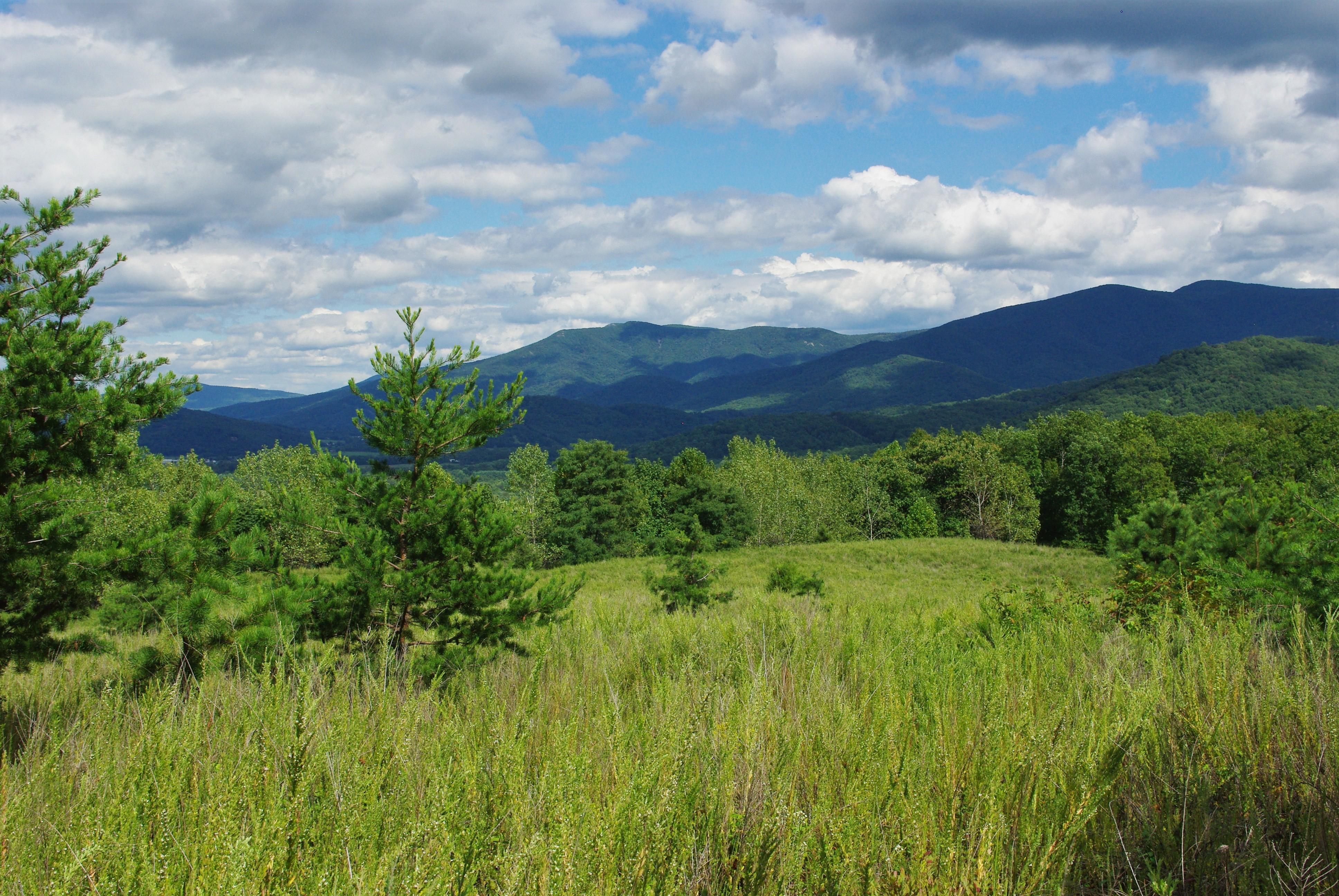 200 acres in Page County, Virginia