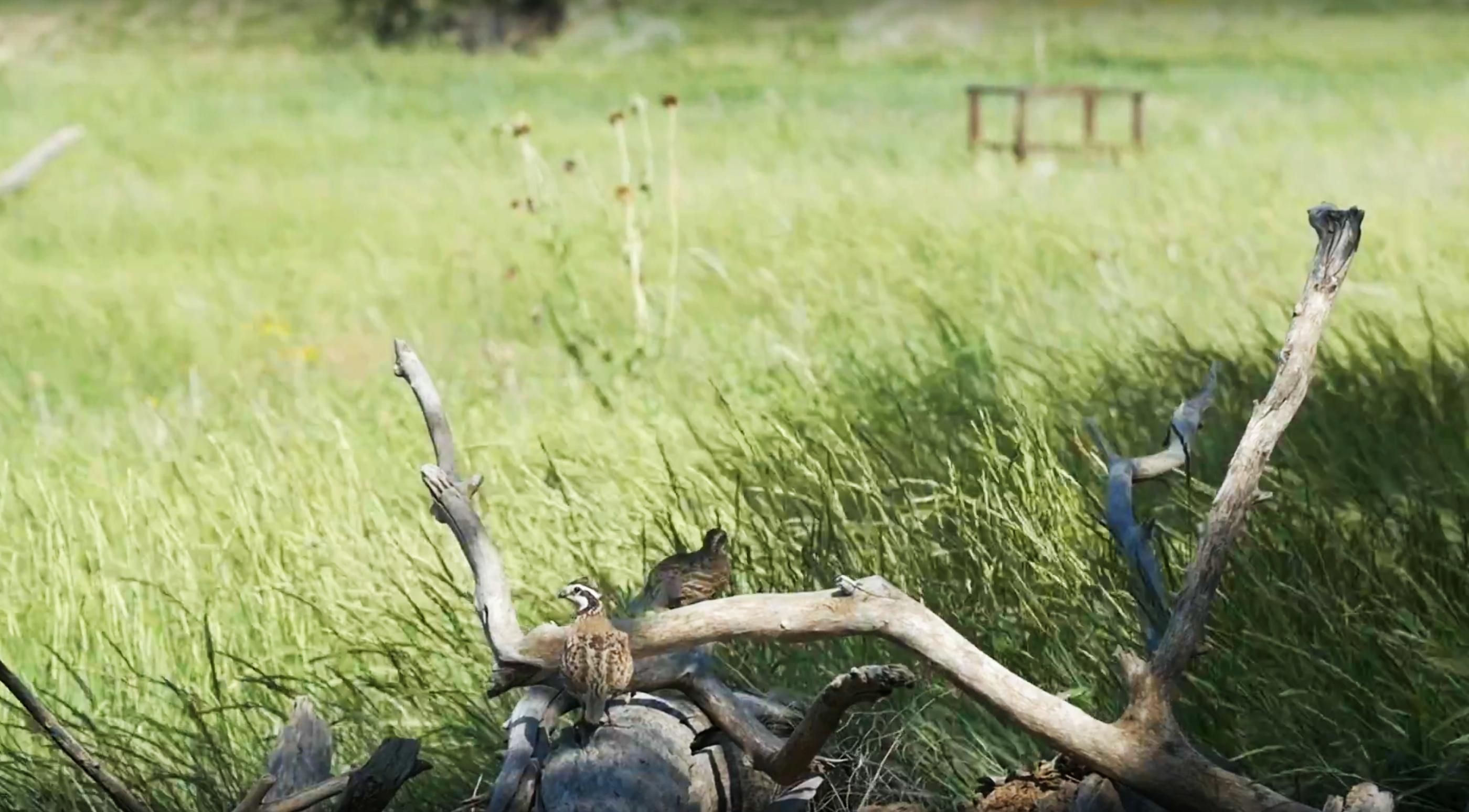 5,104 acres in Ellis County, Kansas