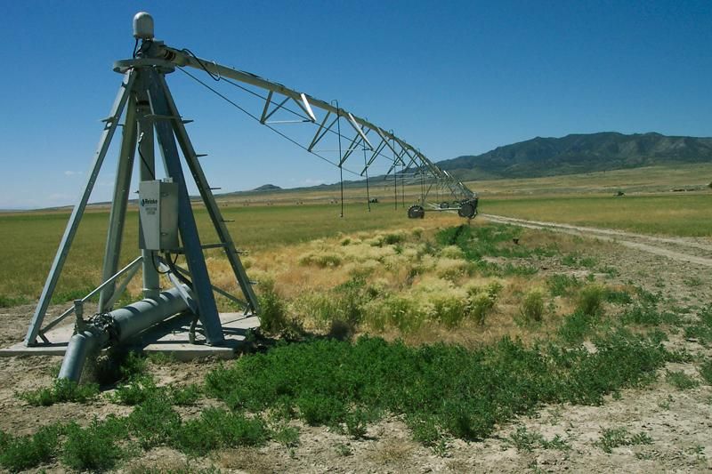 1,245.5 acres in Juab County, Utah