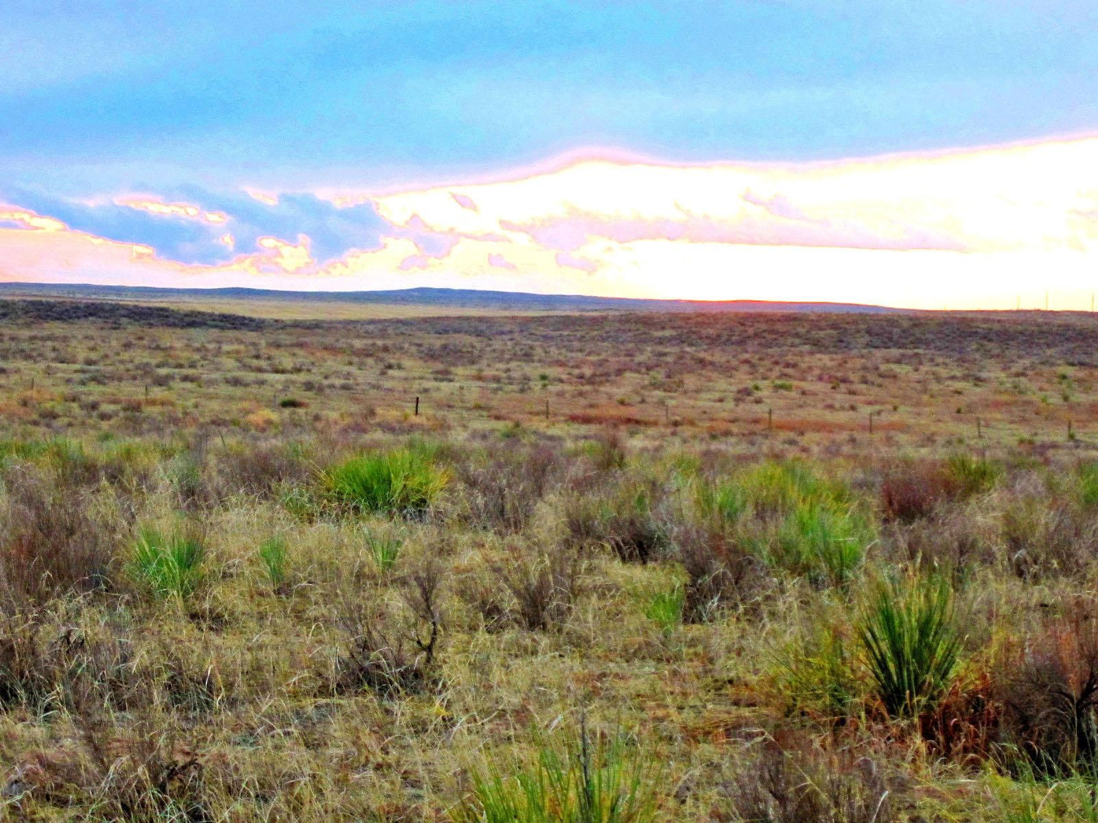 320 acres in Yuma County, Colorado