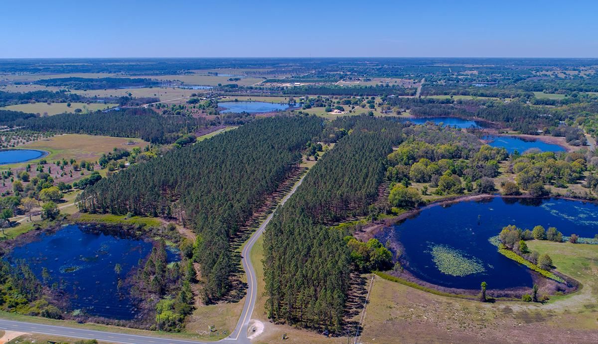 3.00 acres in Lake County, Florida