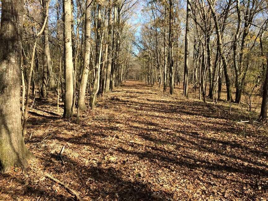 1058.00 acres in Clay County, Mississippi