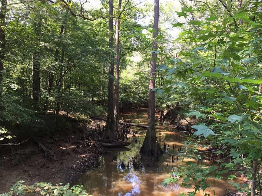 670 acres in Jackson Parish, Louisiana