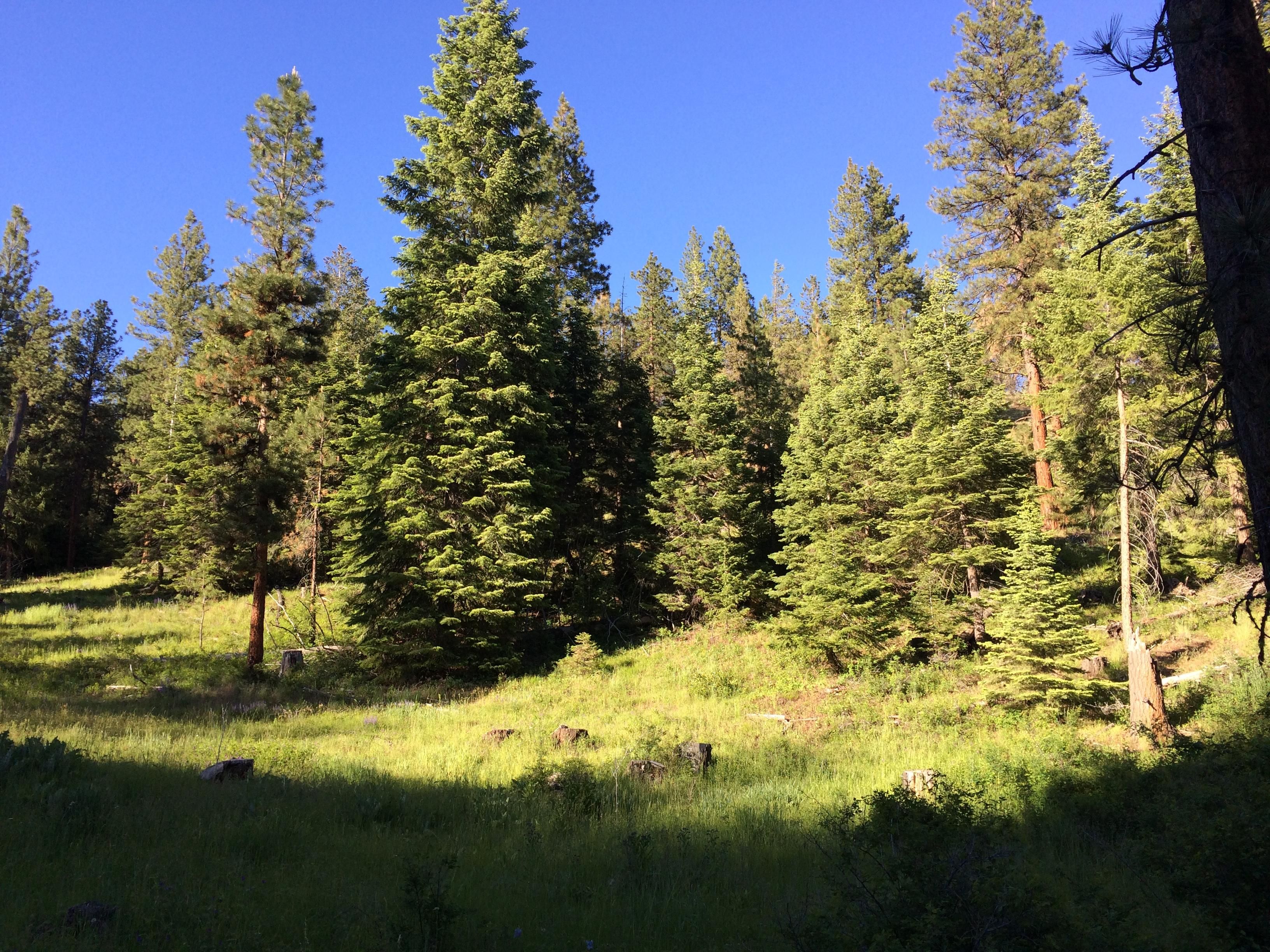 480 acres in Grant County, Oregon