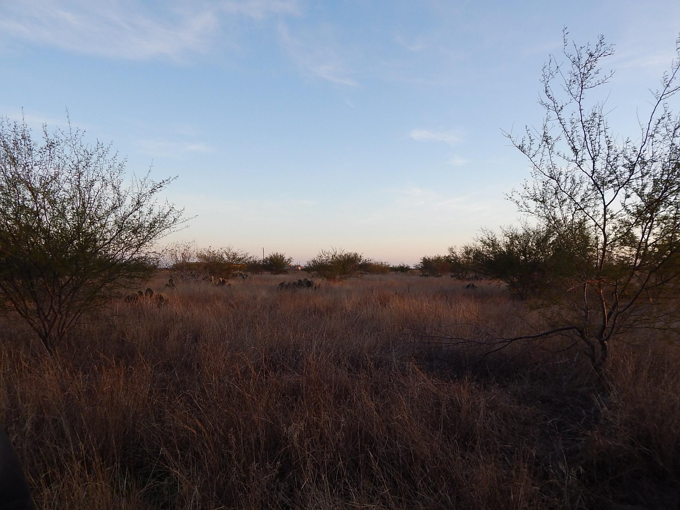 Unbelievable Nueces County Property Search The Key To Finding Local Property Information – Discover The Shocking Details - ghw15vc
