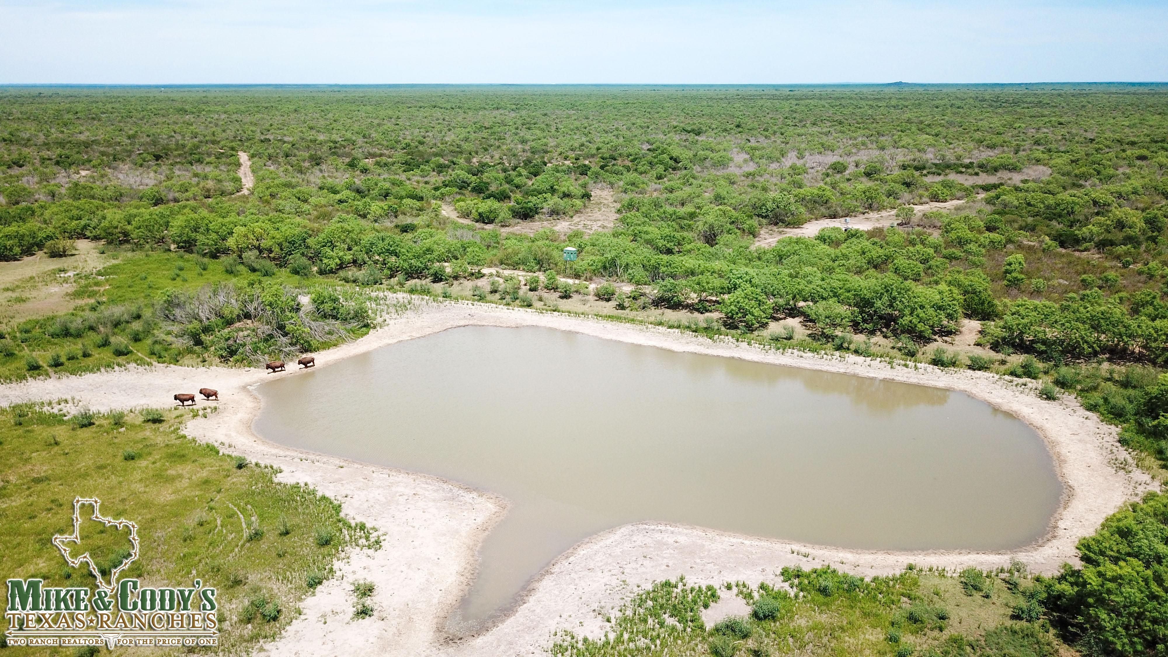 1,220 acres in Zavala County, Texas