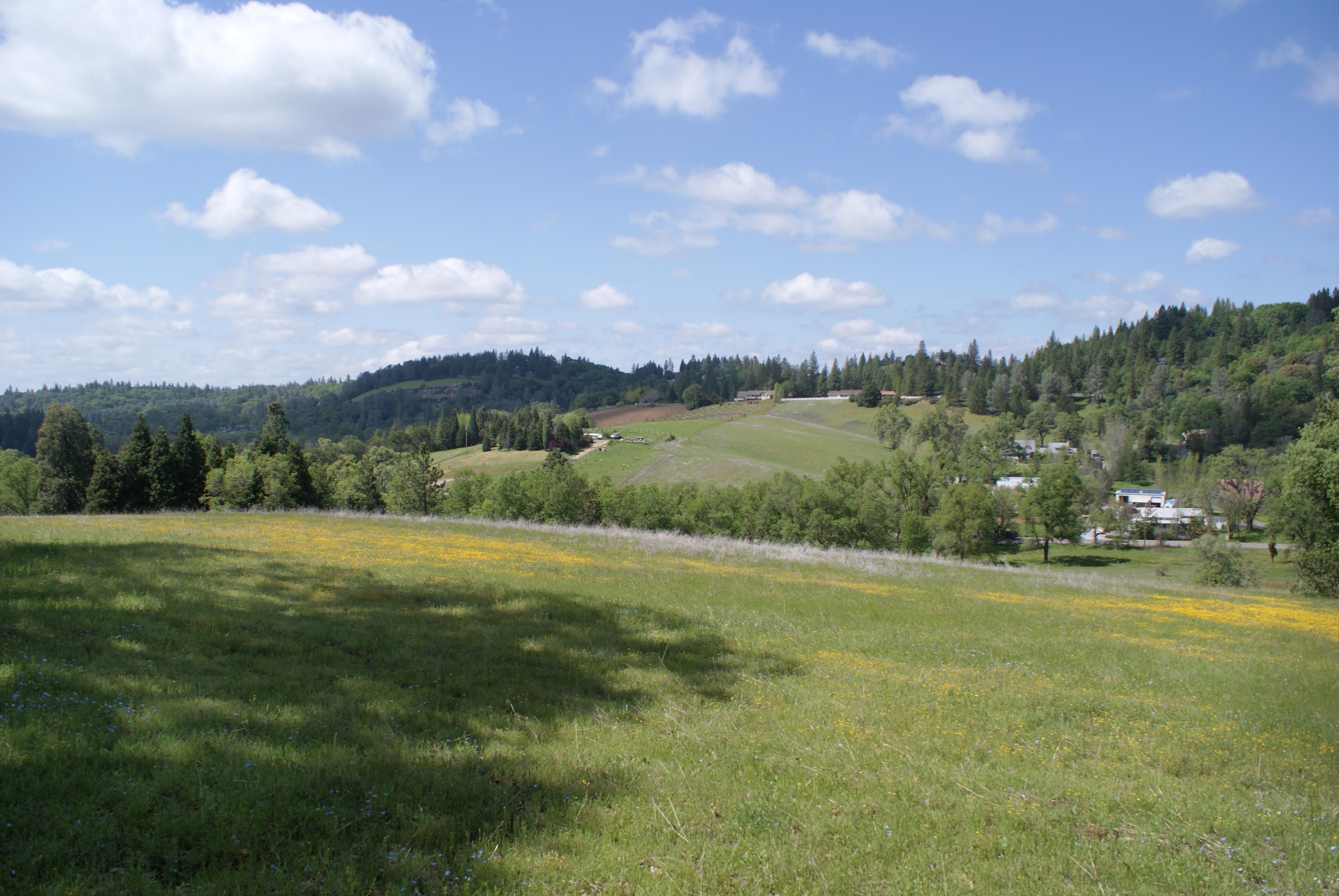 41.86 acres in El Dorado County, California