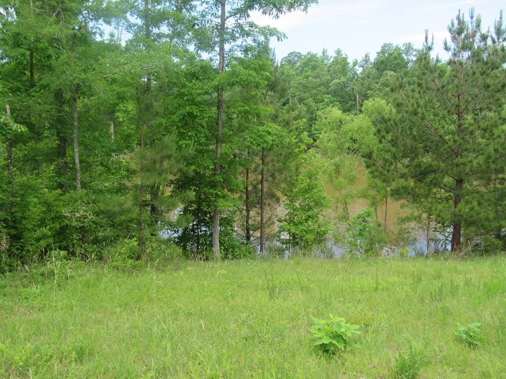 14.54 acres in Harris County,