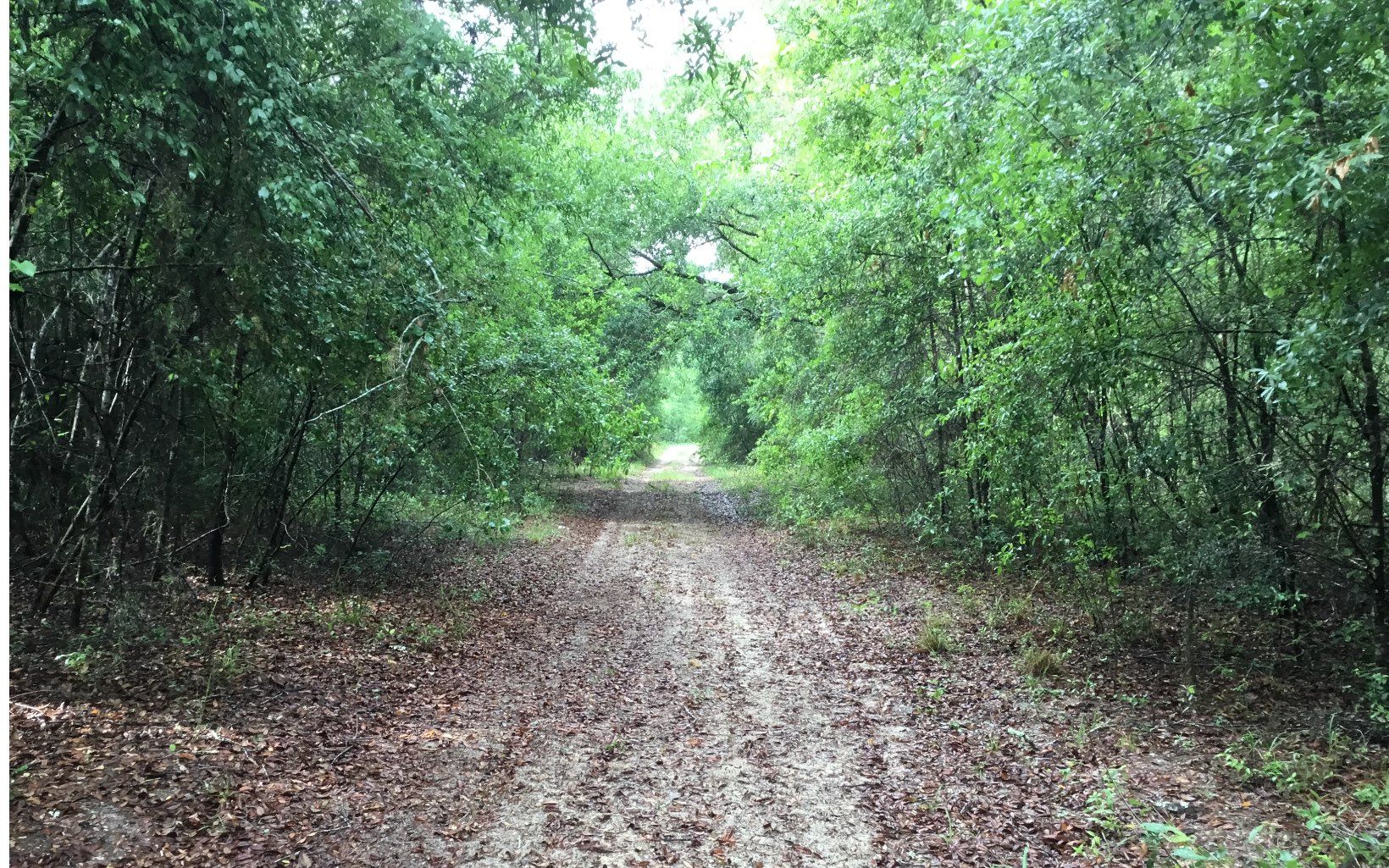 3.2 acres in Gilchrist County, Florida