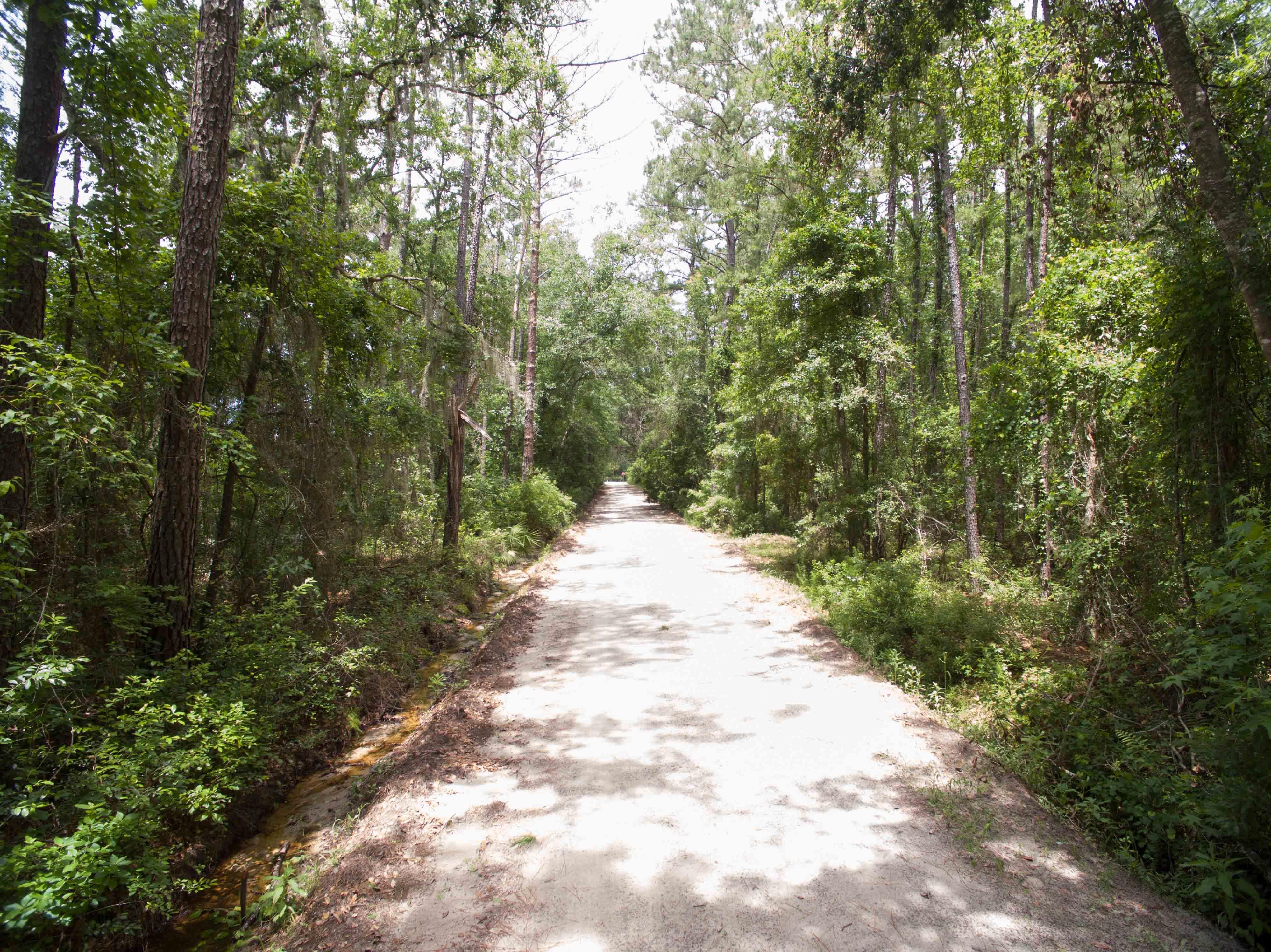 26.9 acres in Brantley County,