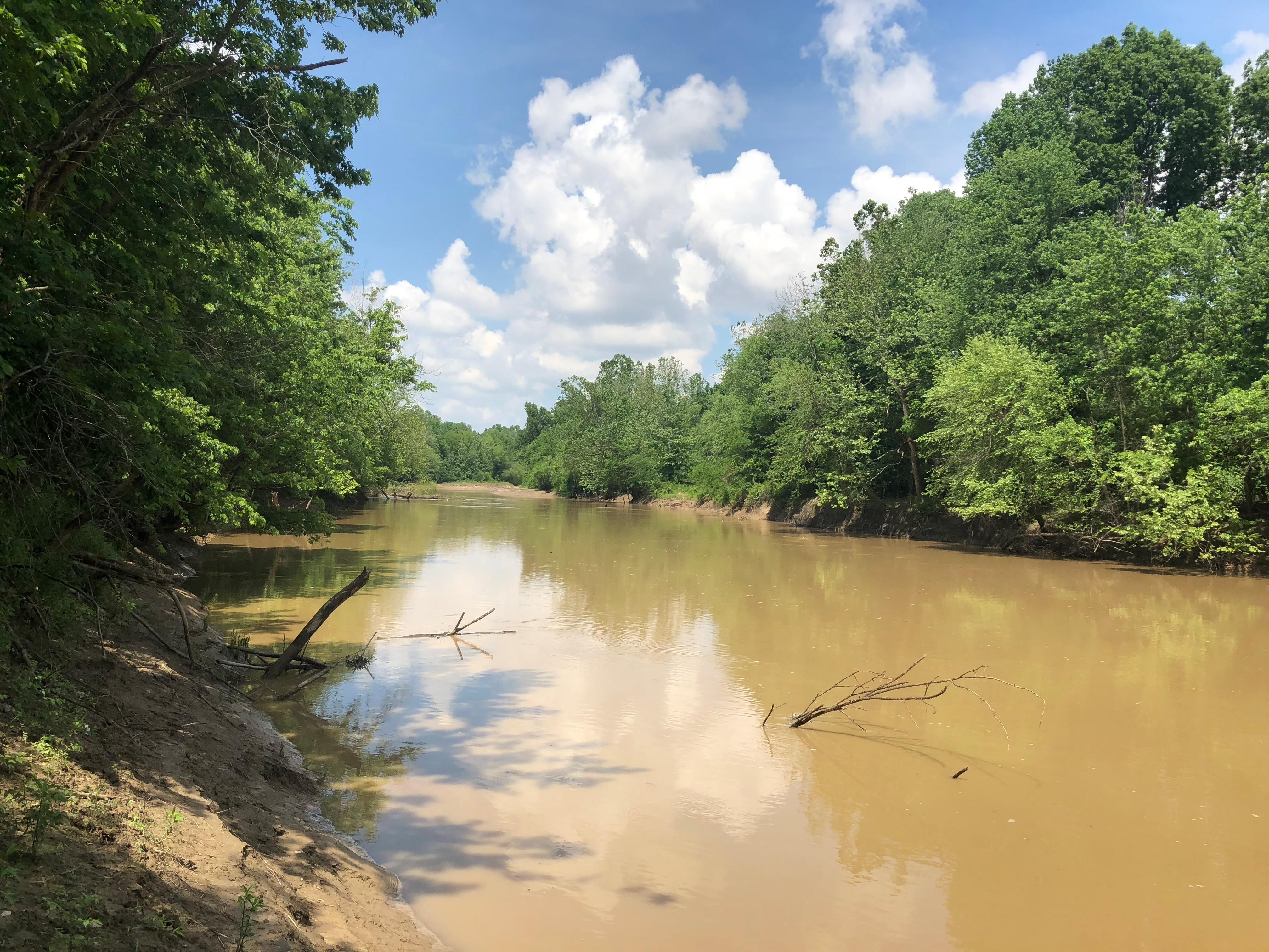 100 acres in Clay County, Arkansas