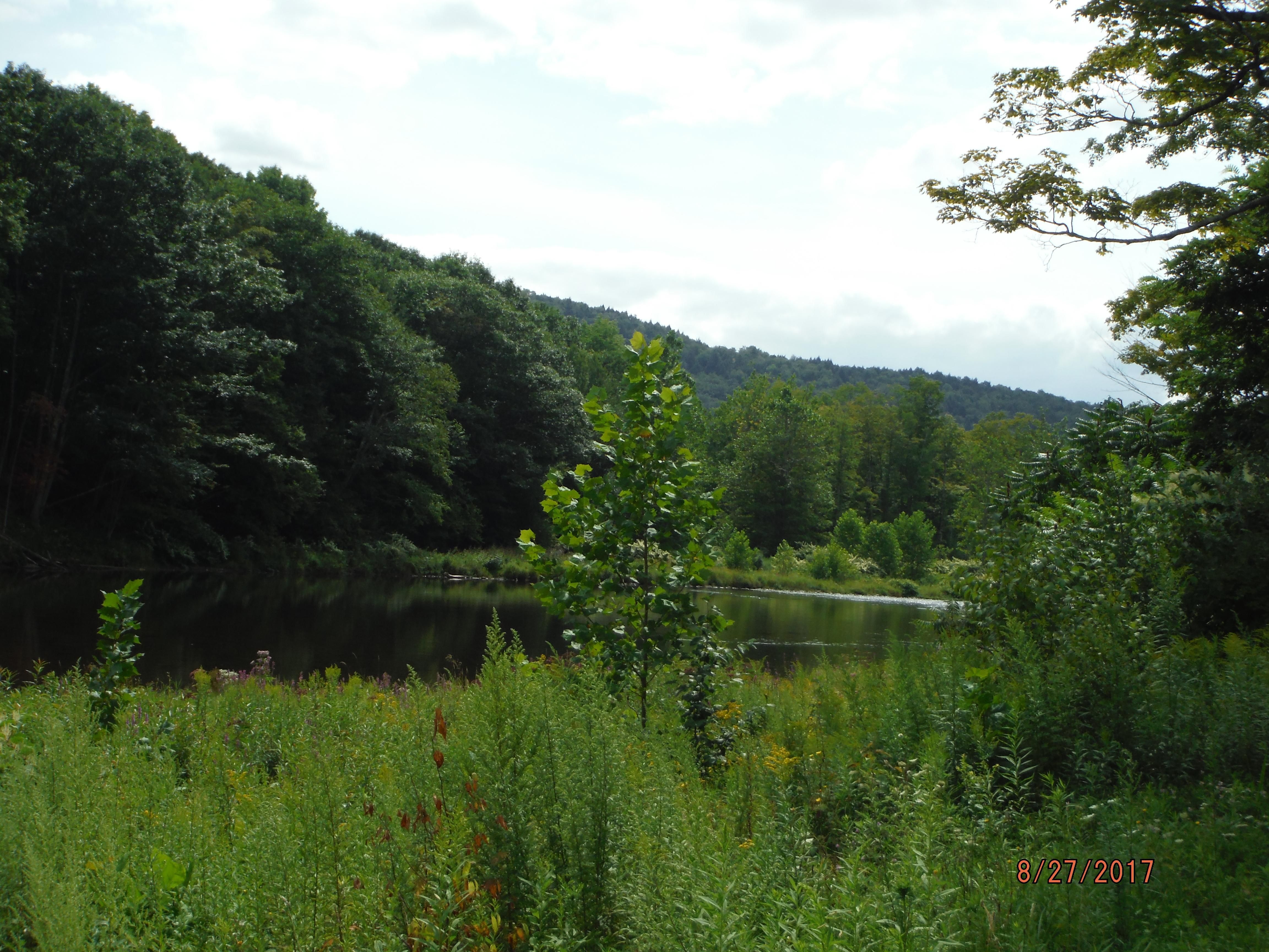 36.6 acres in Delaware County, New York