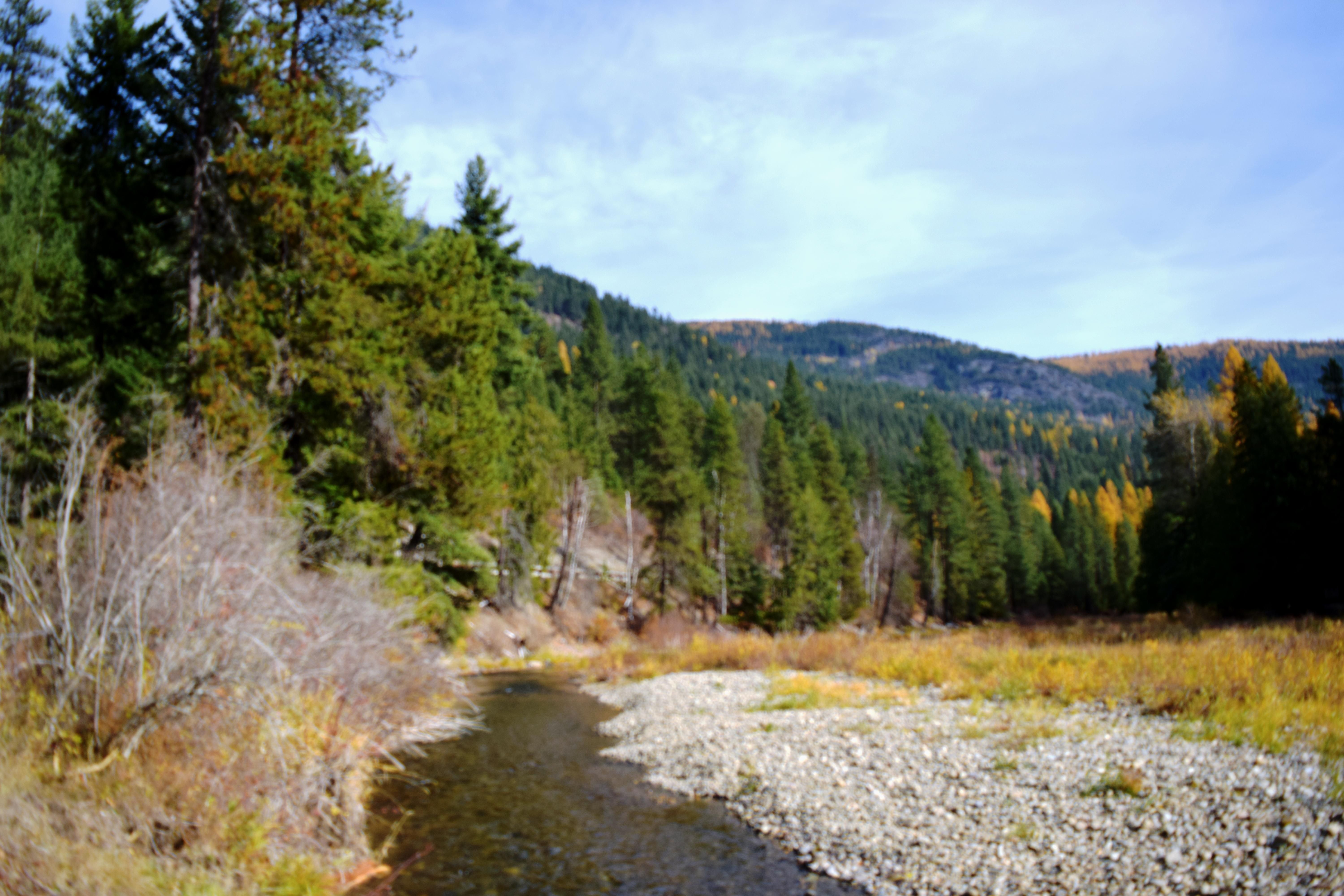 1.3 acres in Boundary County, Idaho