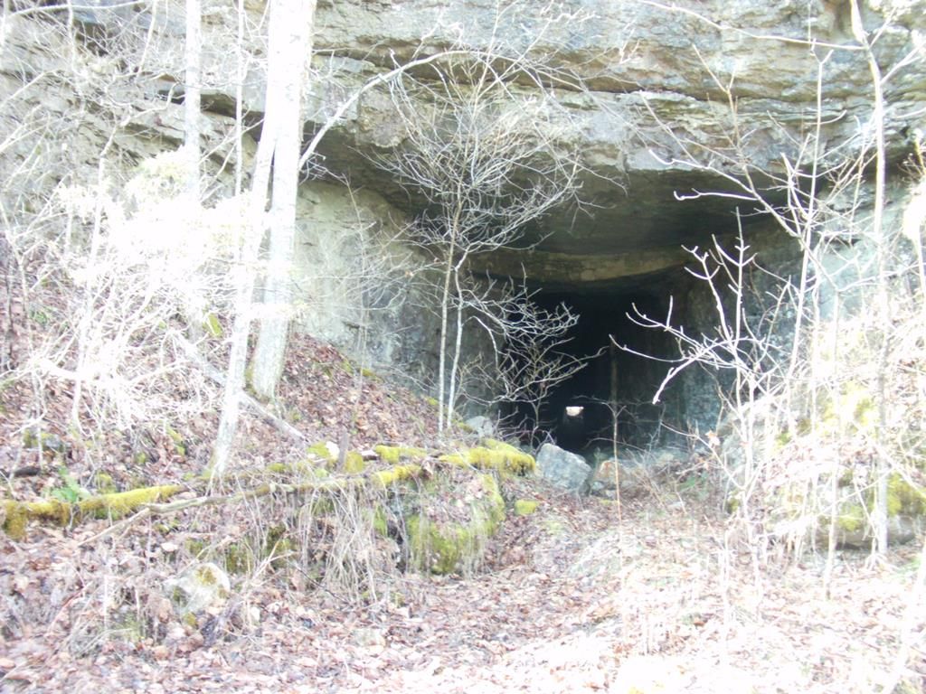 216.5 acres in Carter County, Kentucky