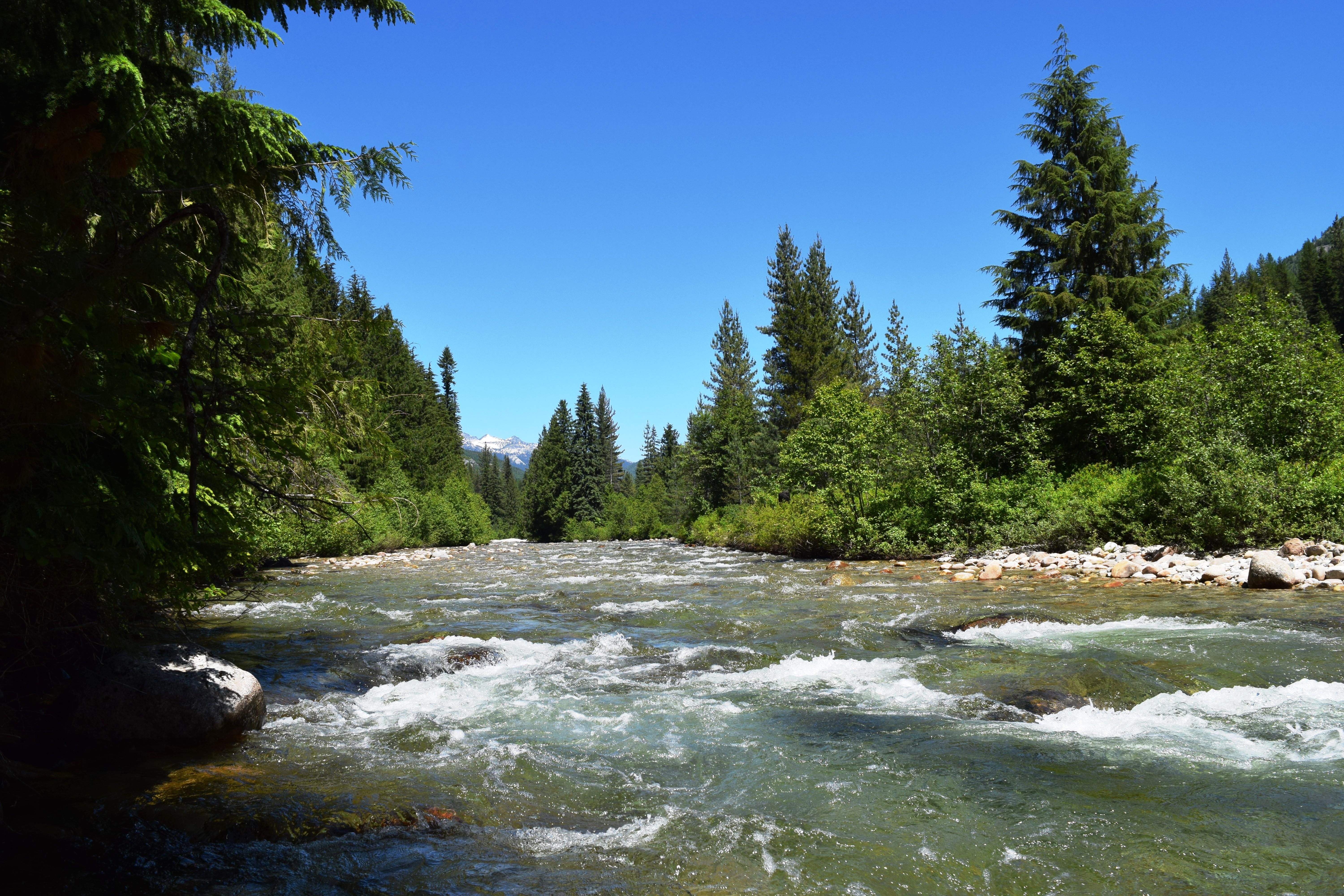 97 acres in Boundary County, Idaho