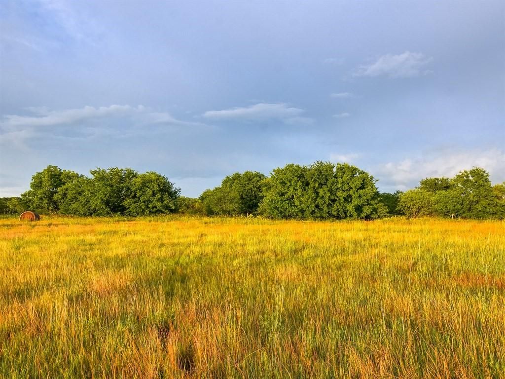 11 acres in Williamson County, Texas