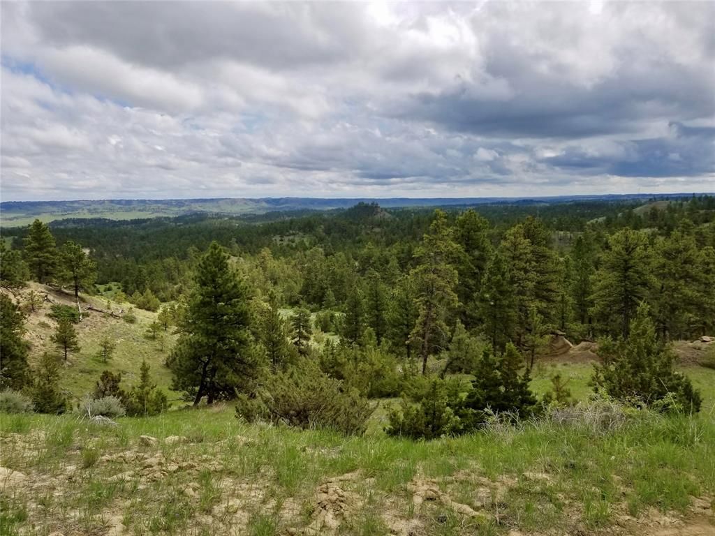 1,832 acres in Rosebud County, Montana