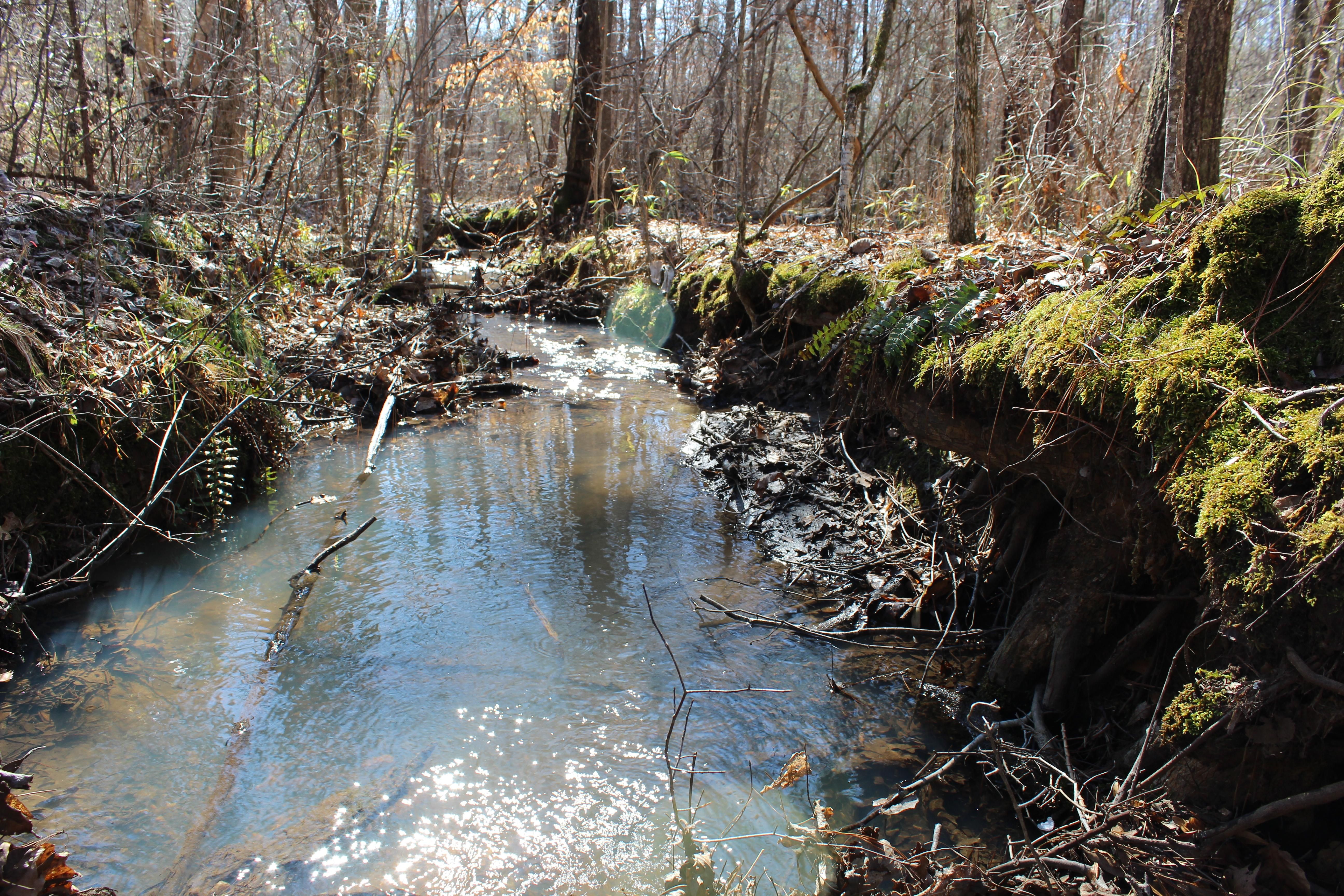 380 acres in Randolph County, Alabama