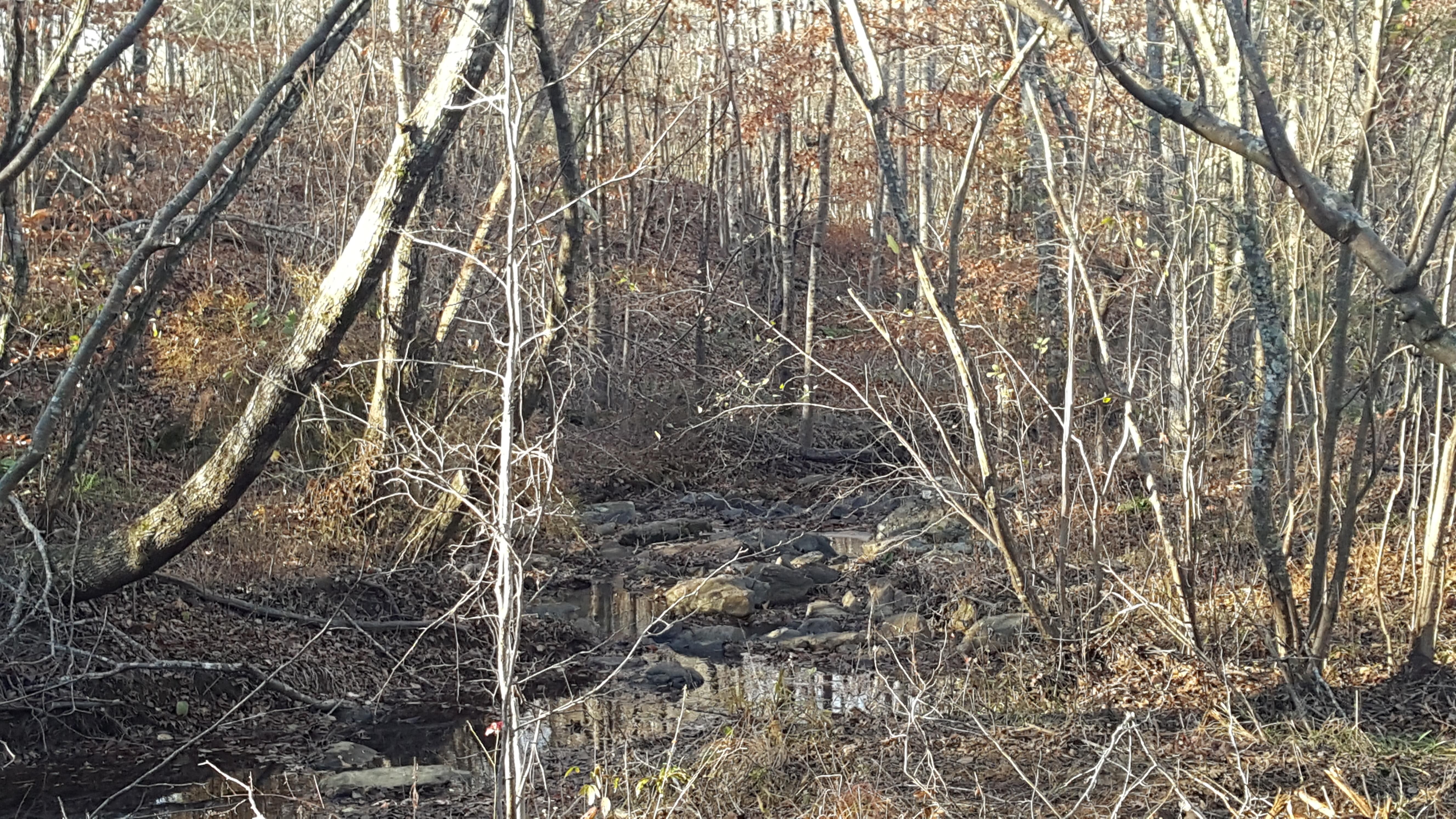 80 acres in Chilton County, Alabama