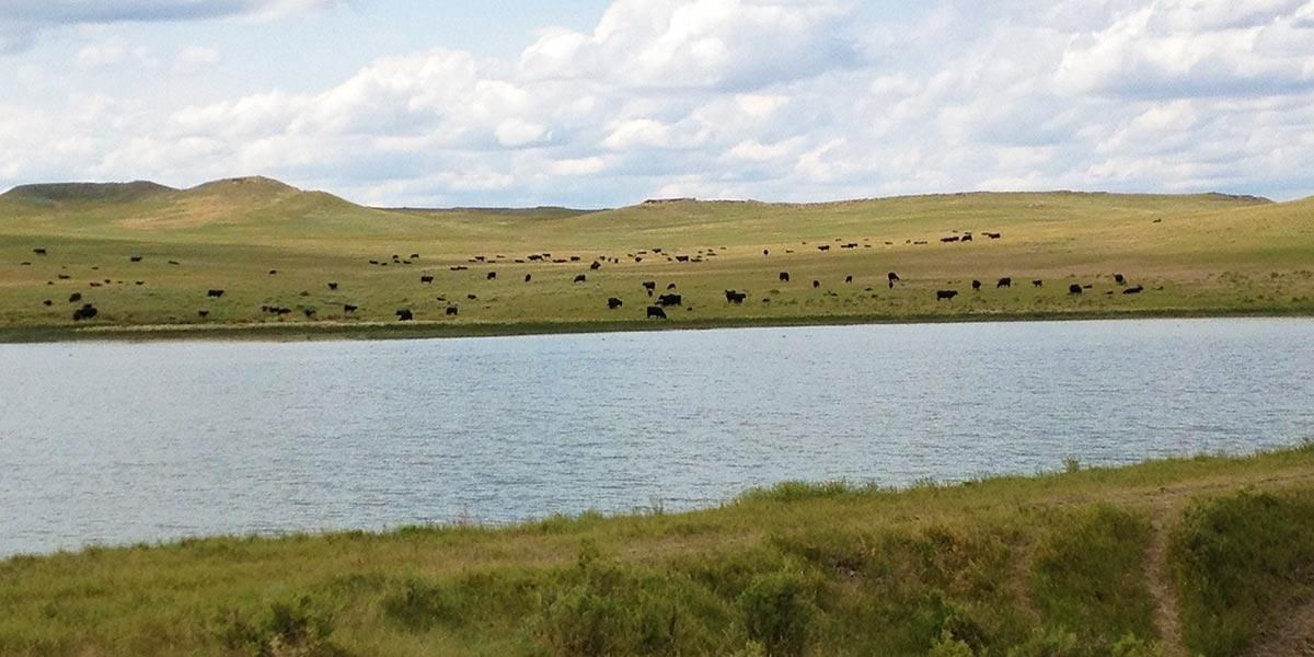 43,278 acres in Garfield County, Montana