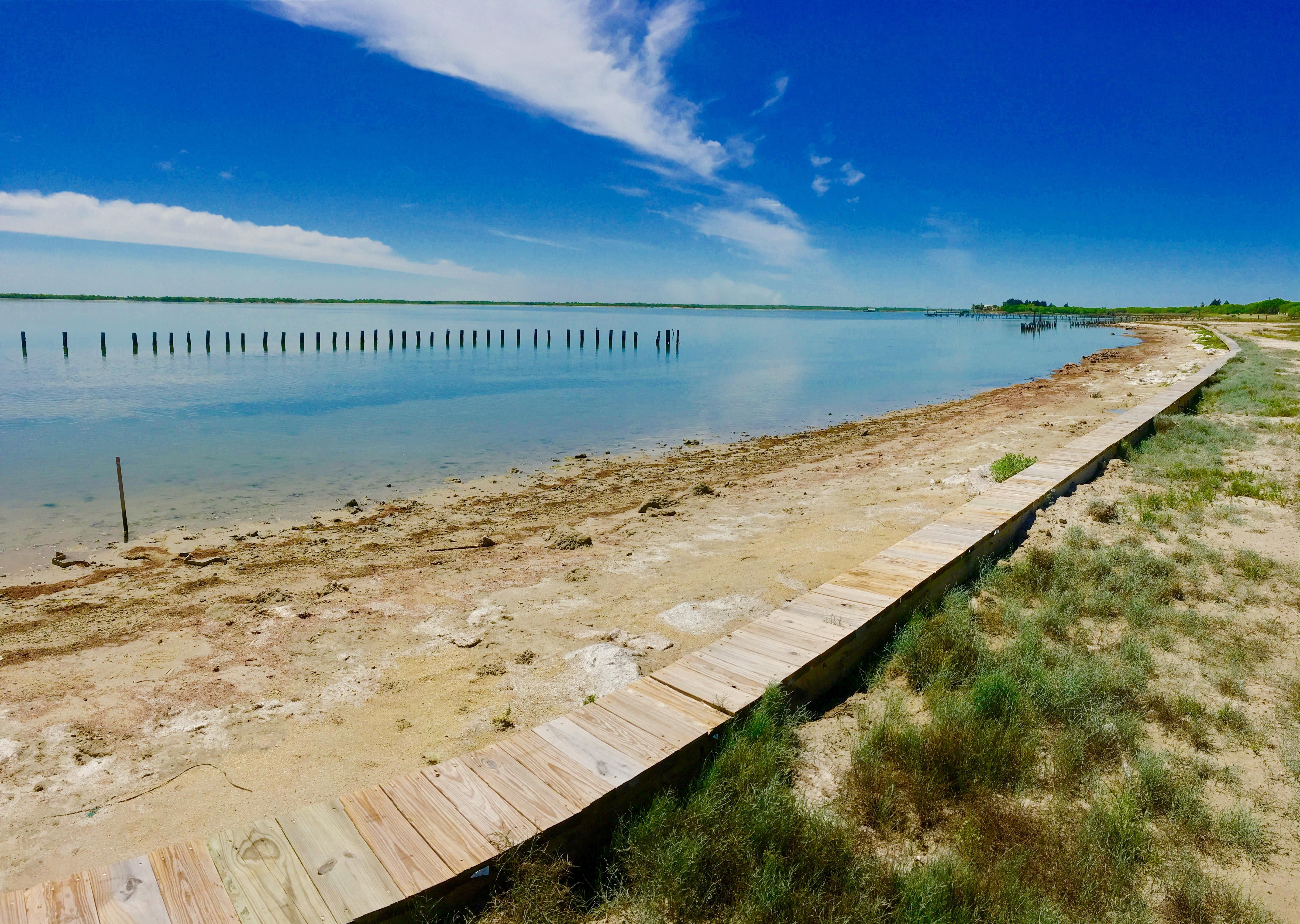 121 acres in Kleberg County, Texas