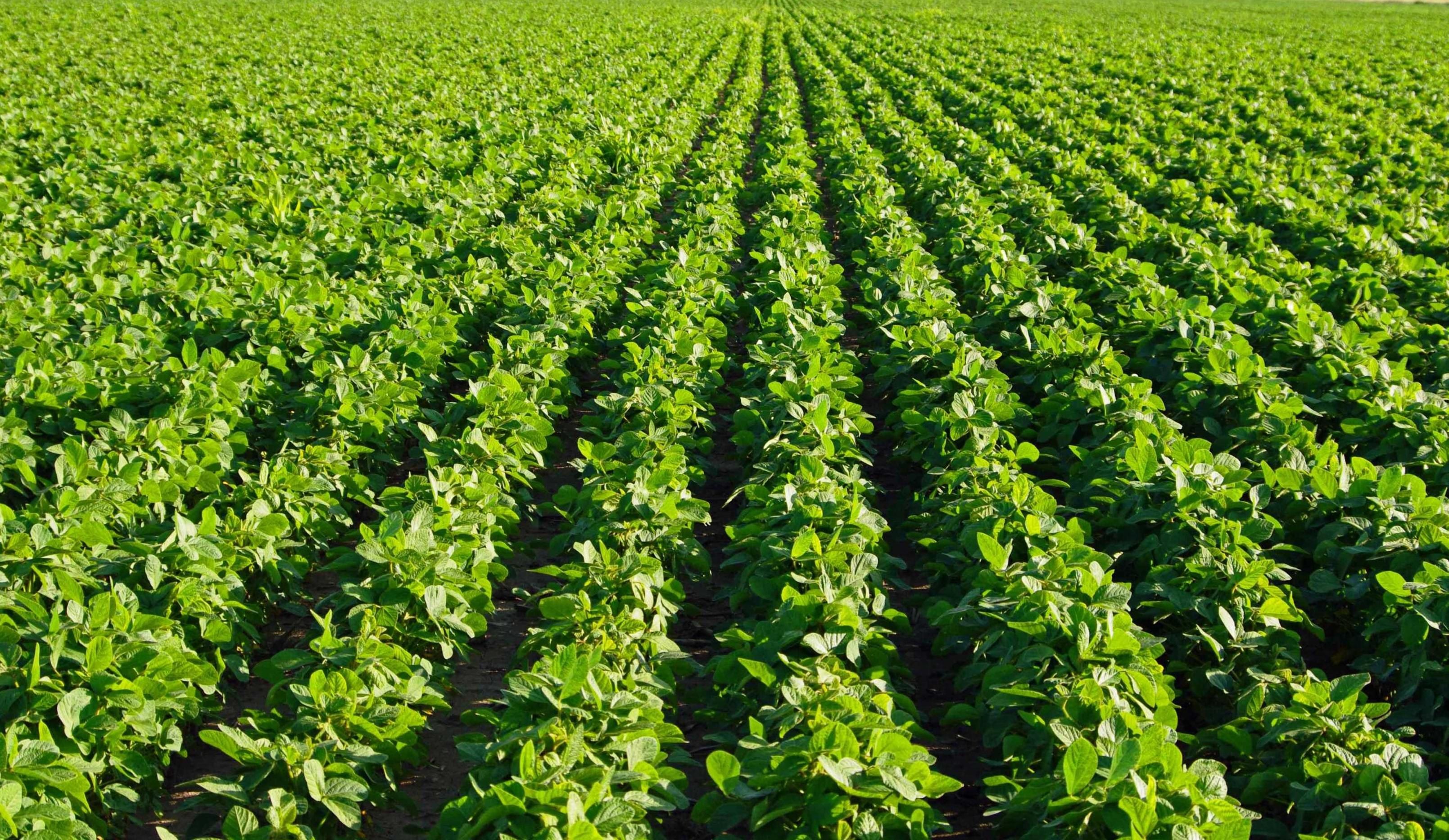 134 acres in Saint Charles County, Missouri