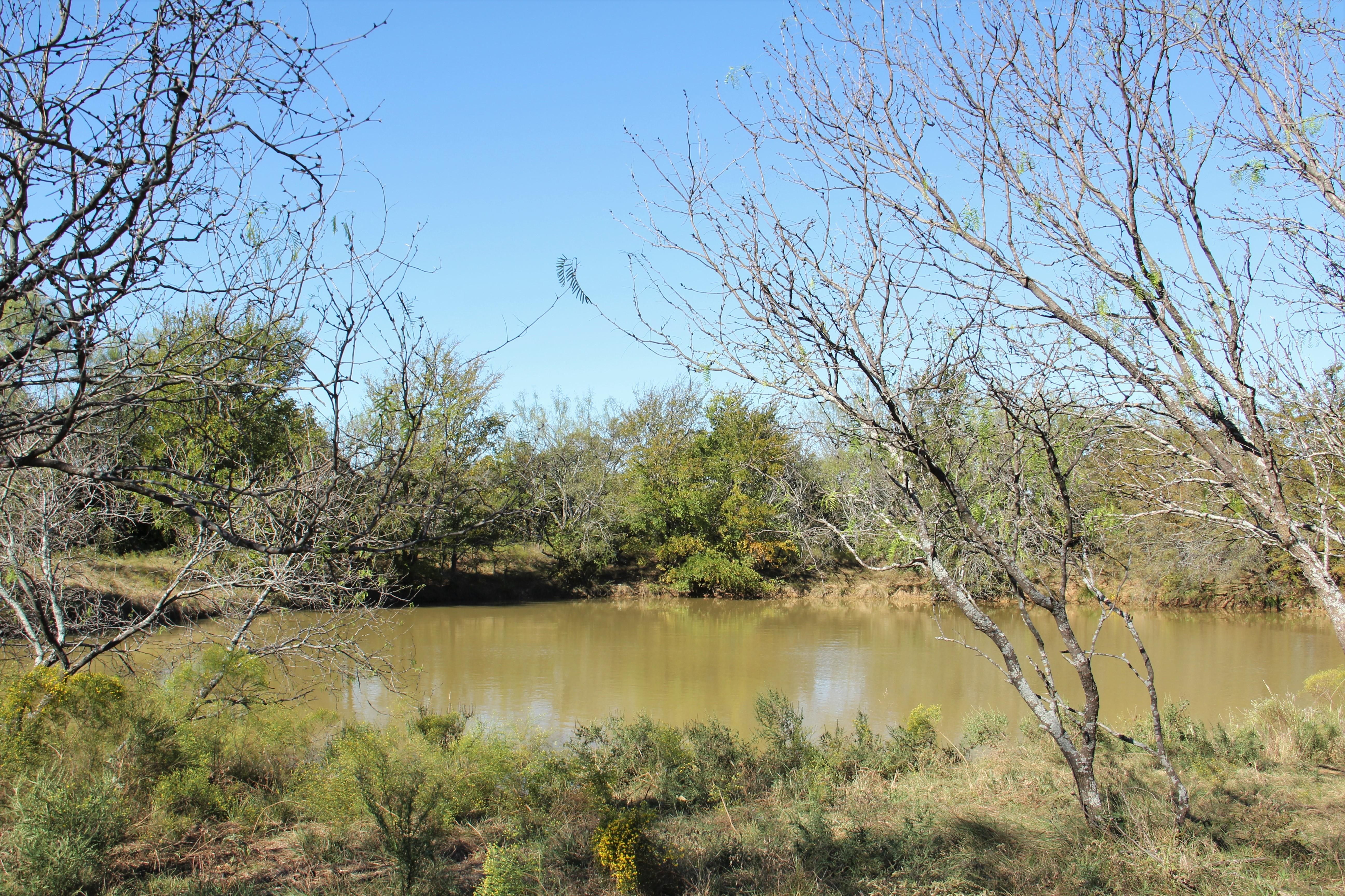 114.31 acres in Wise County, Texas