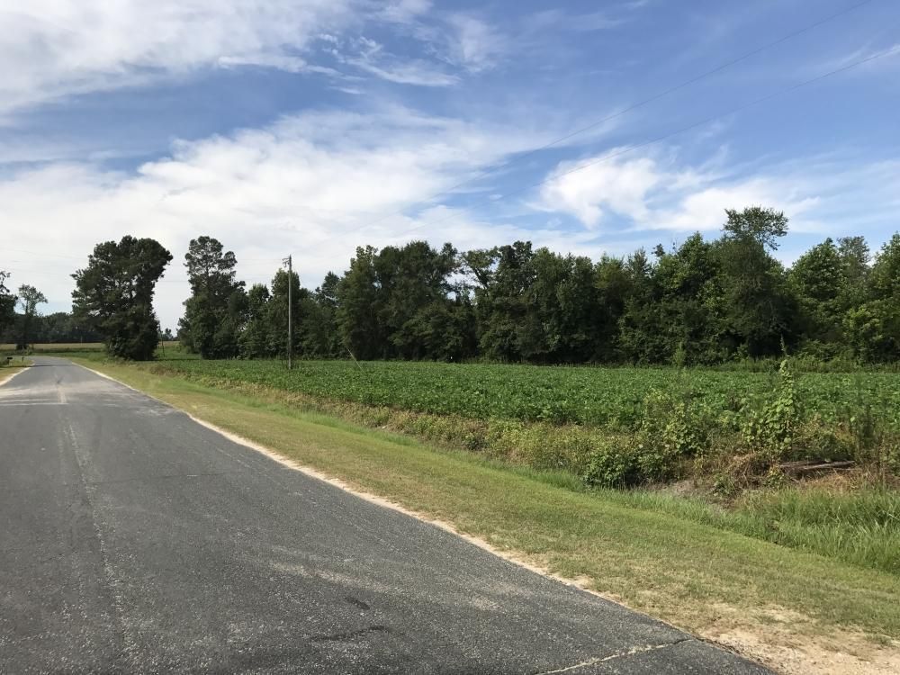 53.11 acres in Bladen County, North Carolina