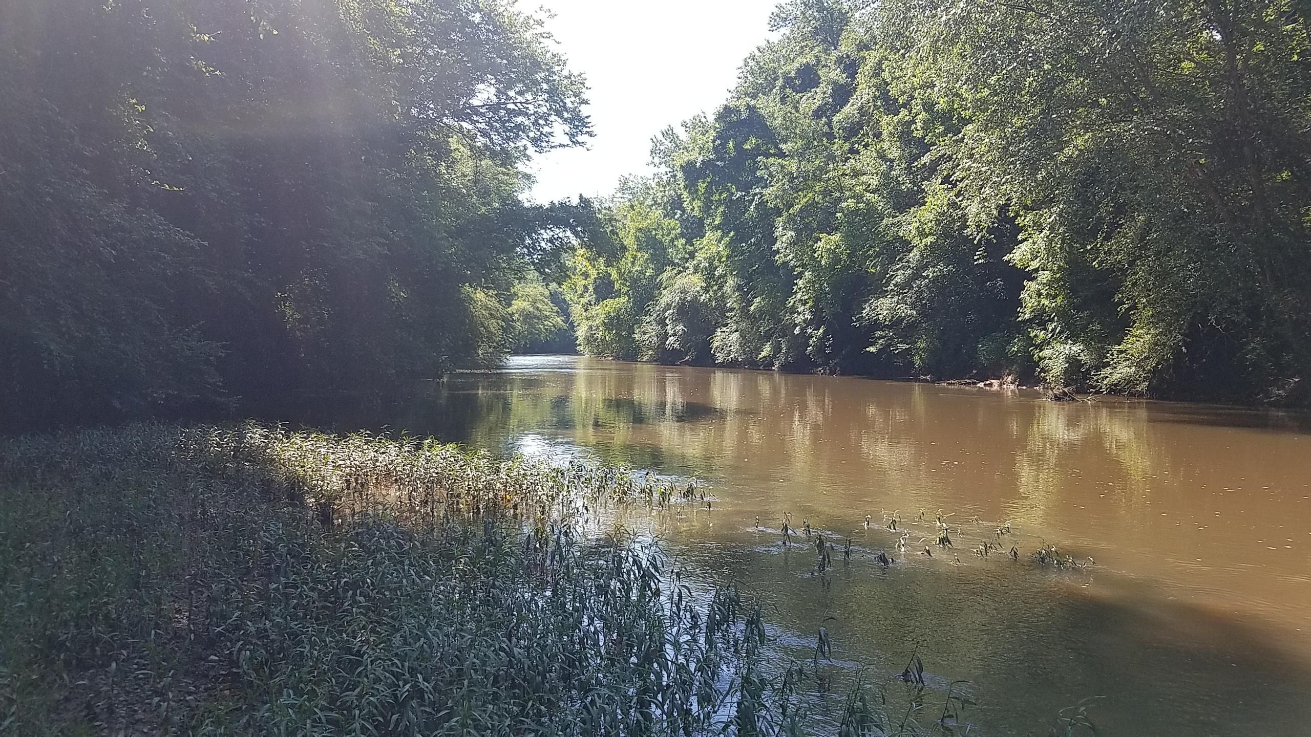 42 acres in Cleburne County, Alabama