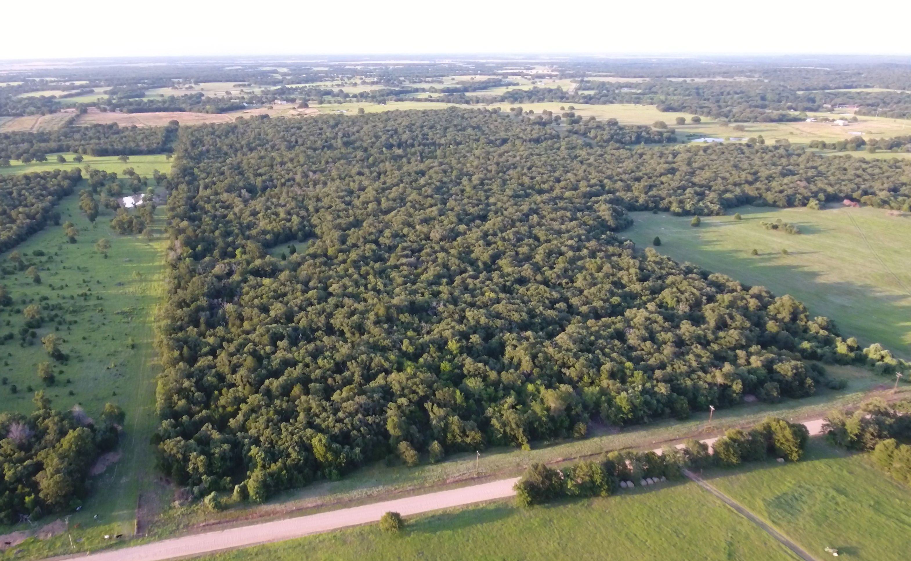 100 acres in Milam County, Texas