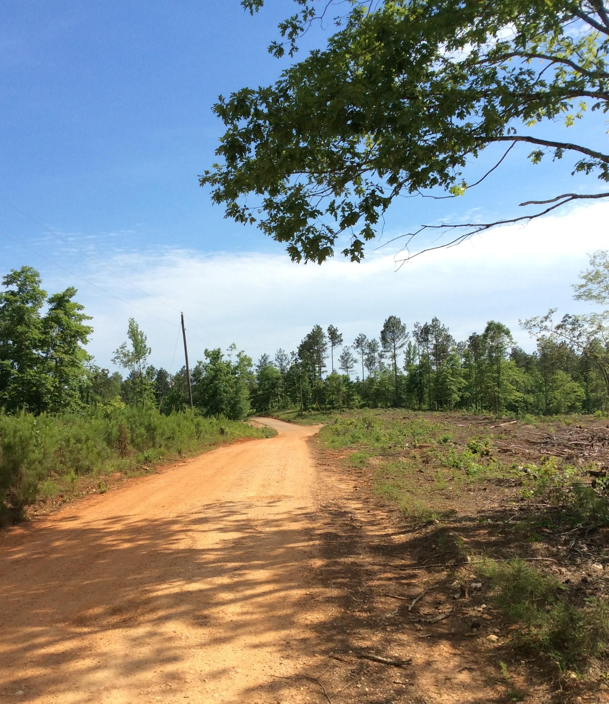 19 acres in Saline County, Arkansas