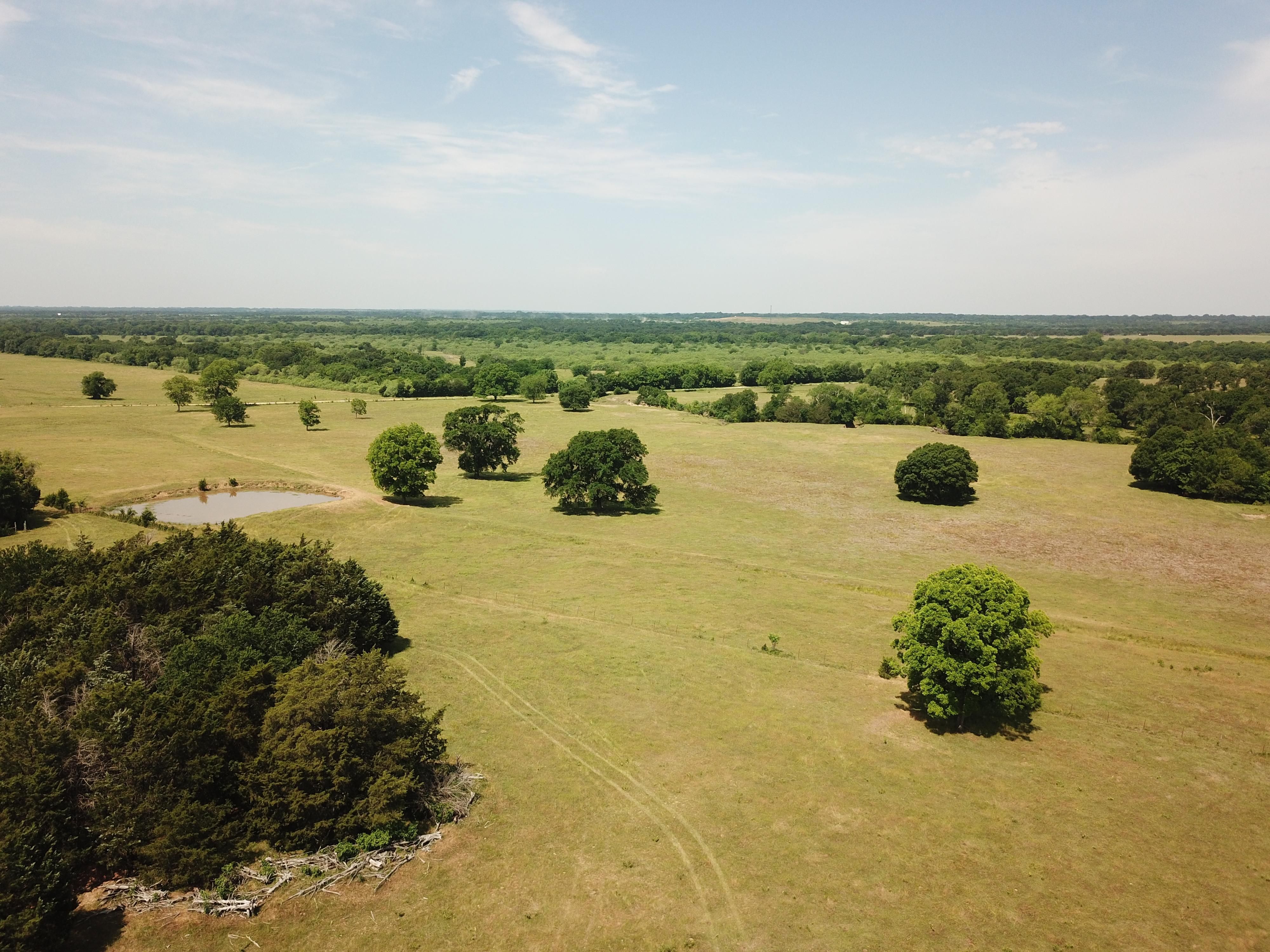 164.00 acres in Limestone County, Texas