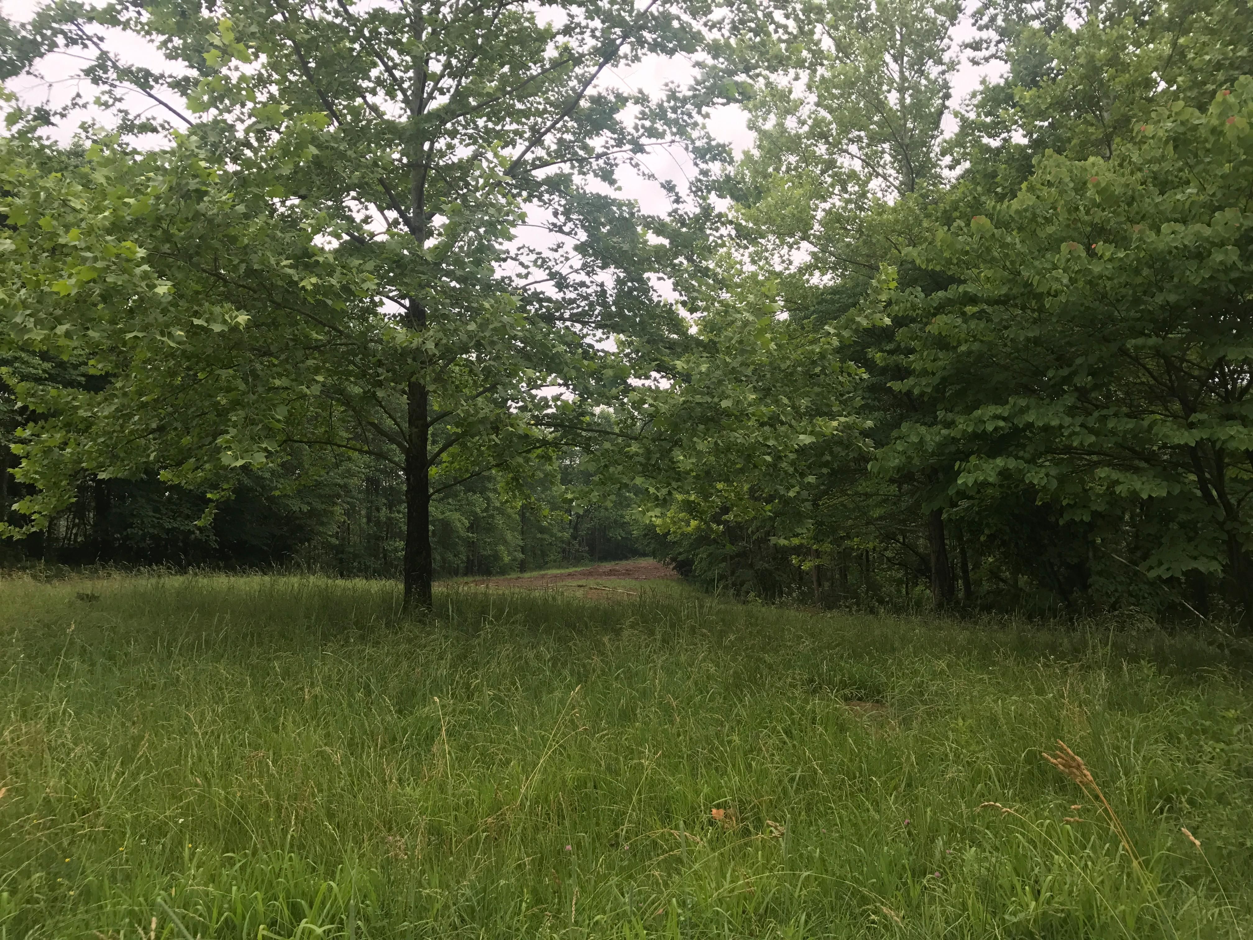 215 acres in Martin County, Indiana