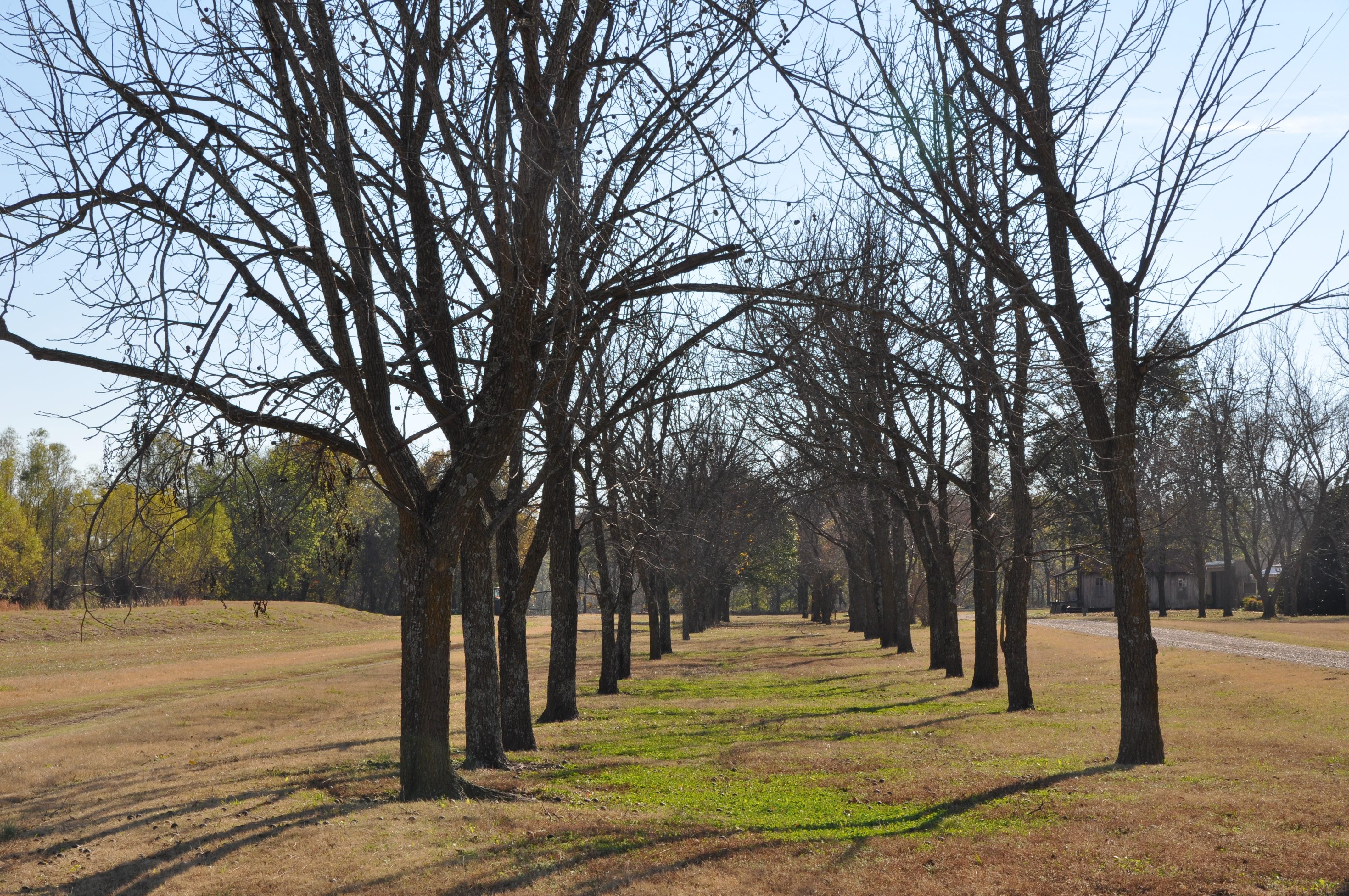 1240.00 acres in Saint Francis County, Arkansas
