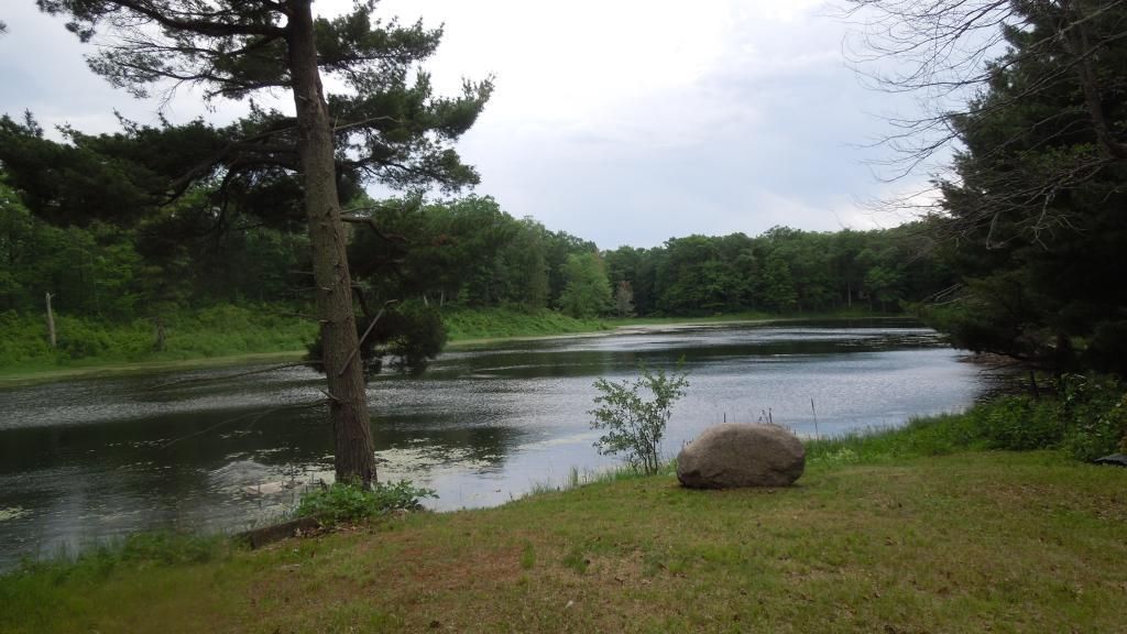 80 acres in Morrison County, Minnesota