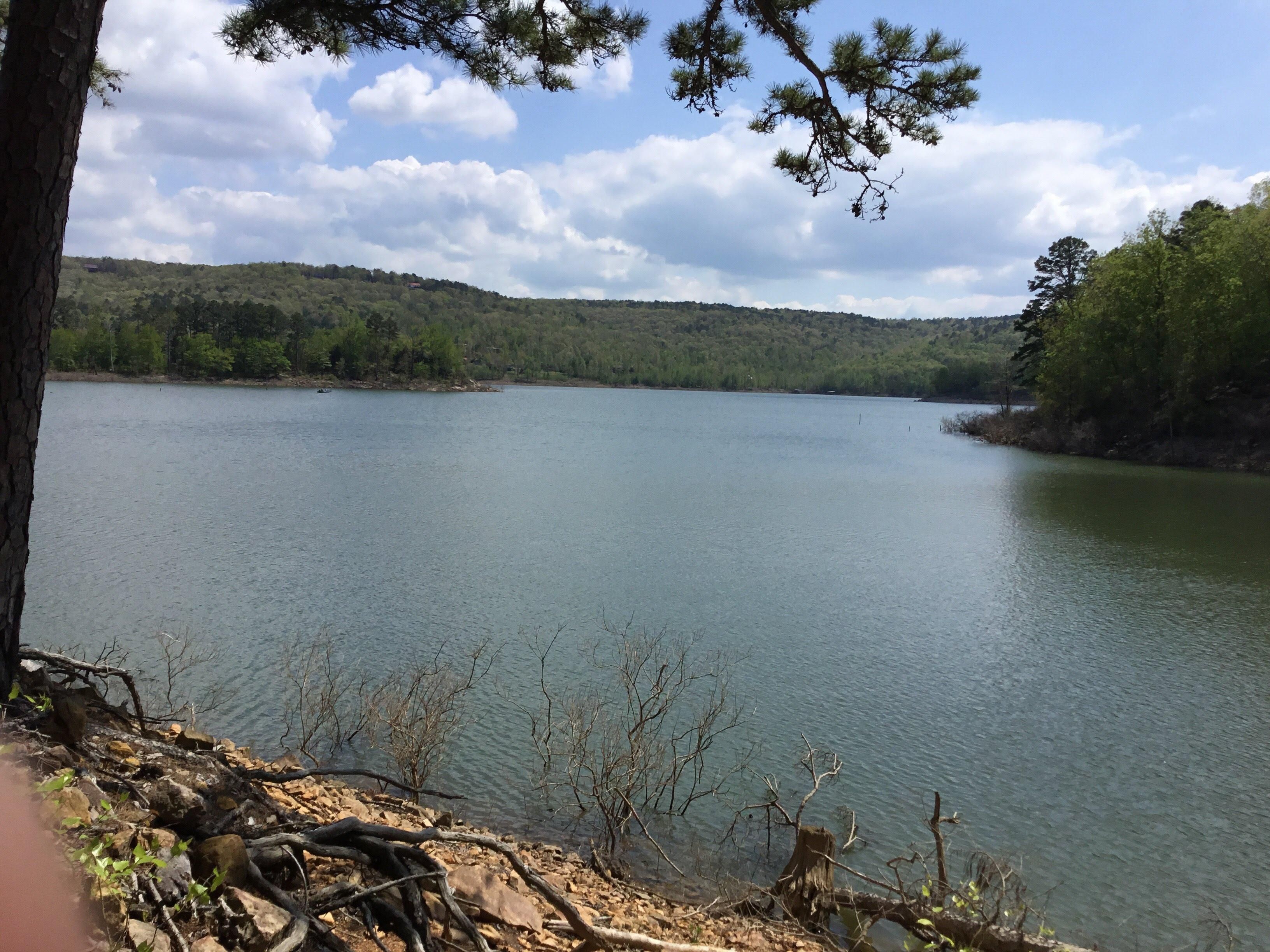 181.90 acres in Cleburne County, Arkansas