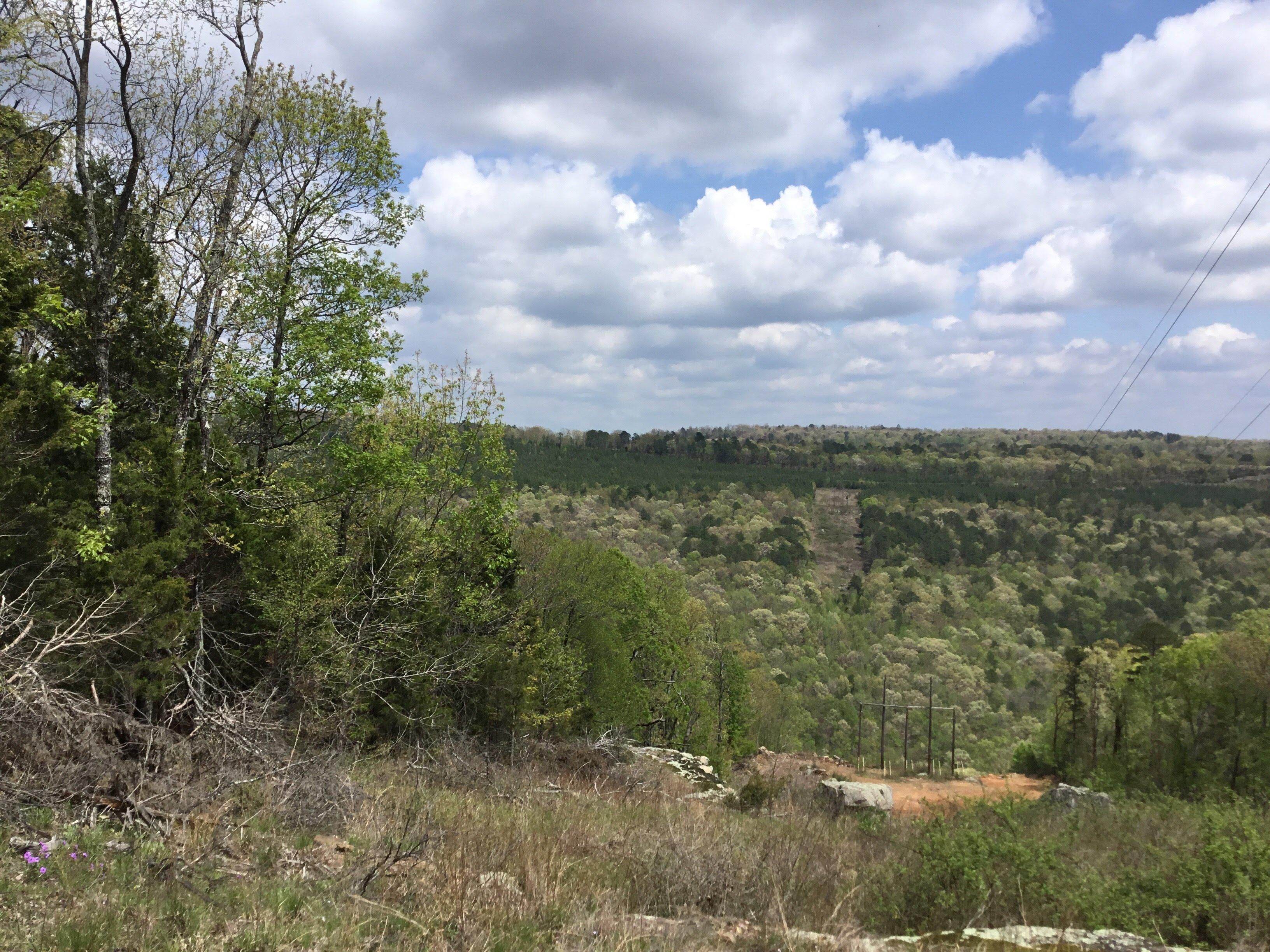 28 acres in Cleburne County, Arkansas