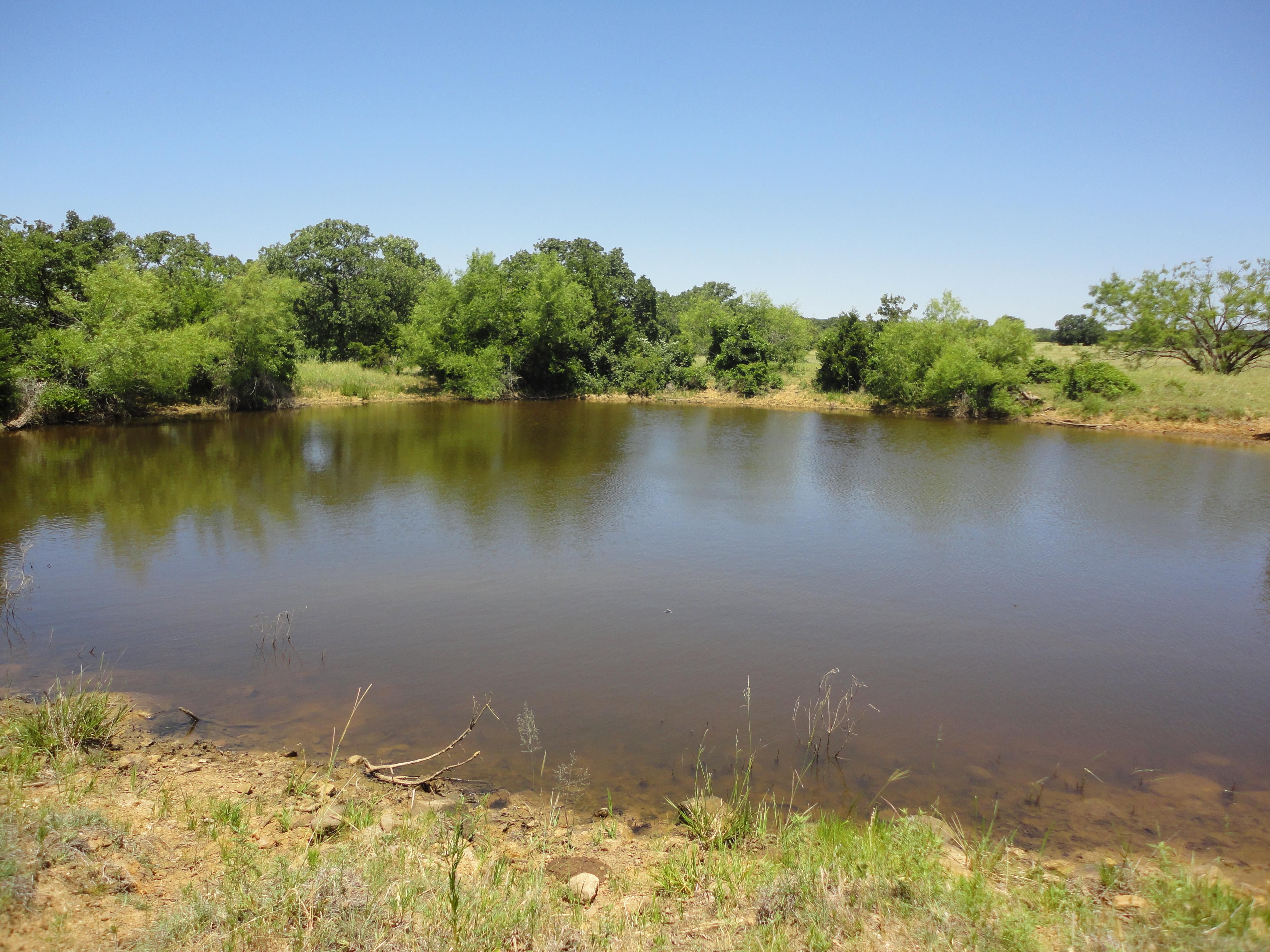 52.42 acres in Jack County, Texas
