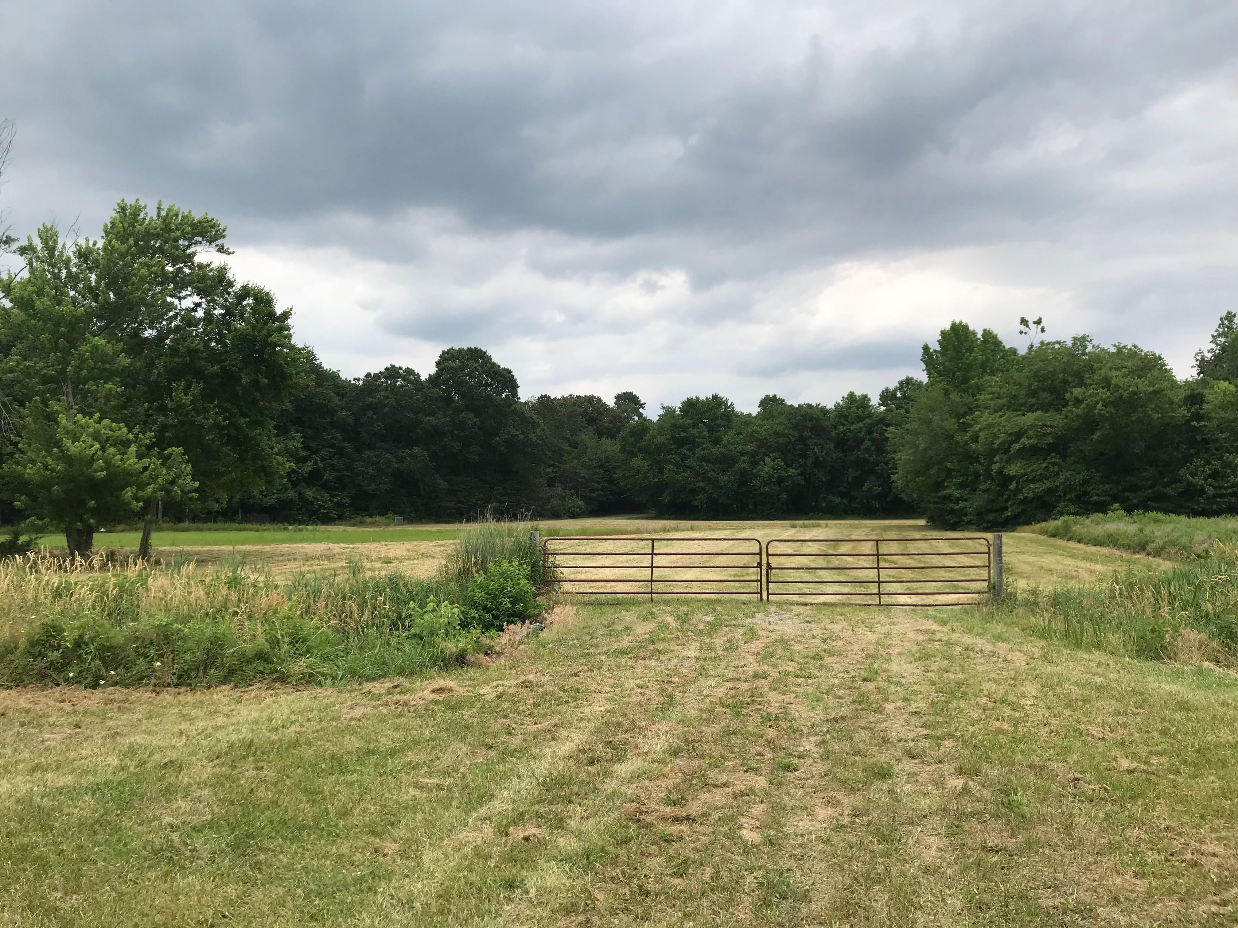 65.34 acres in Caroline County, Maryland