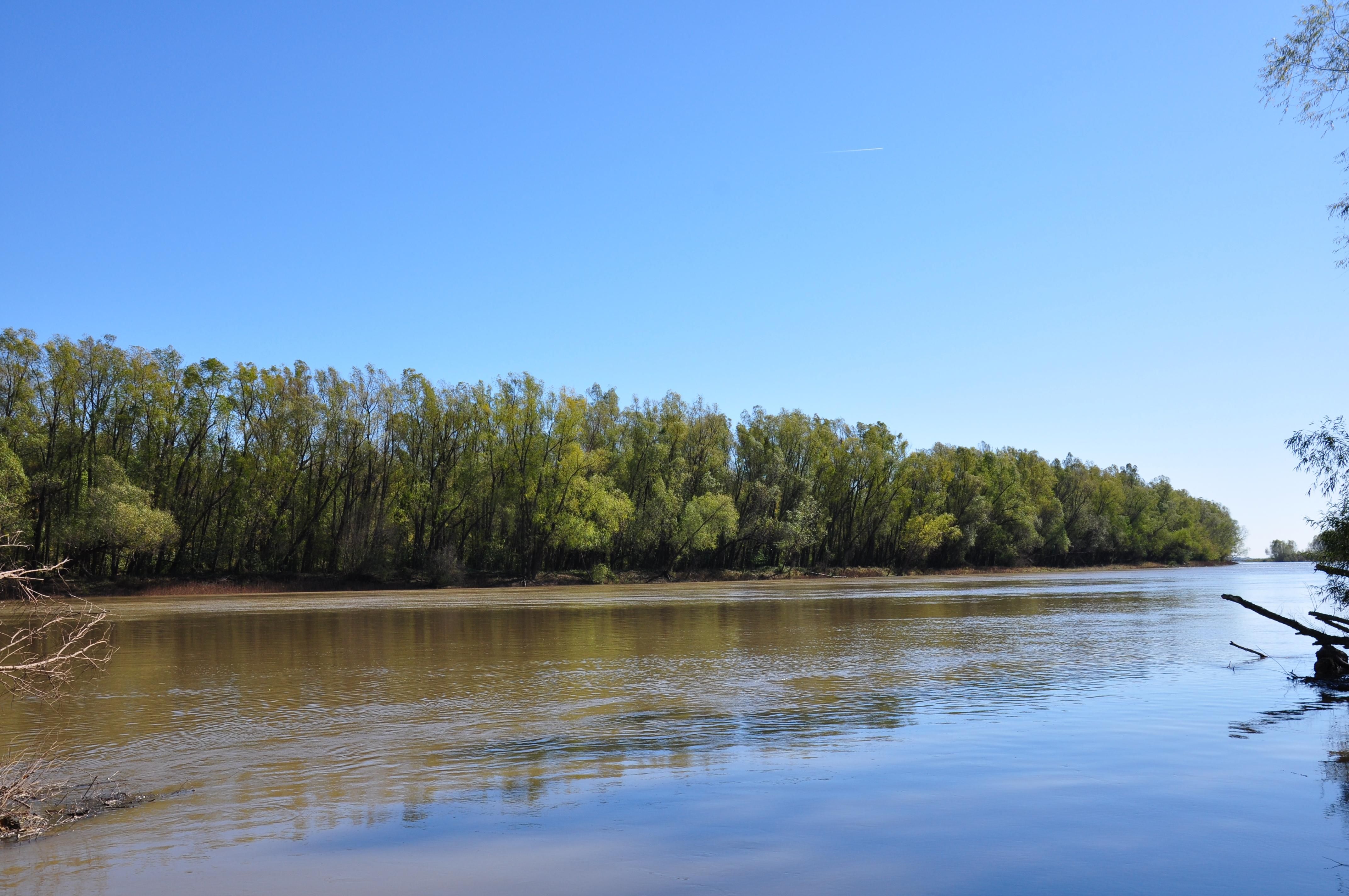 328 acres in Crittenden County, Arkansas