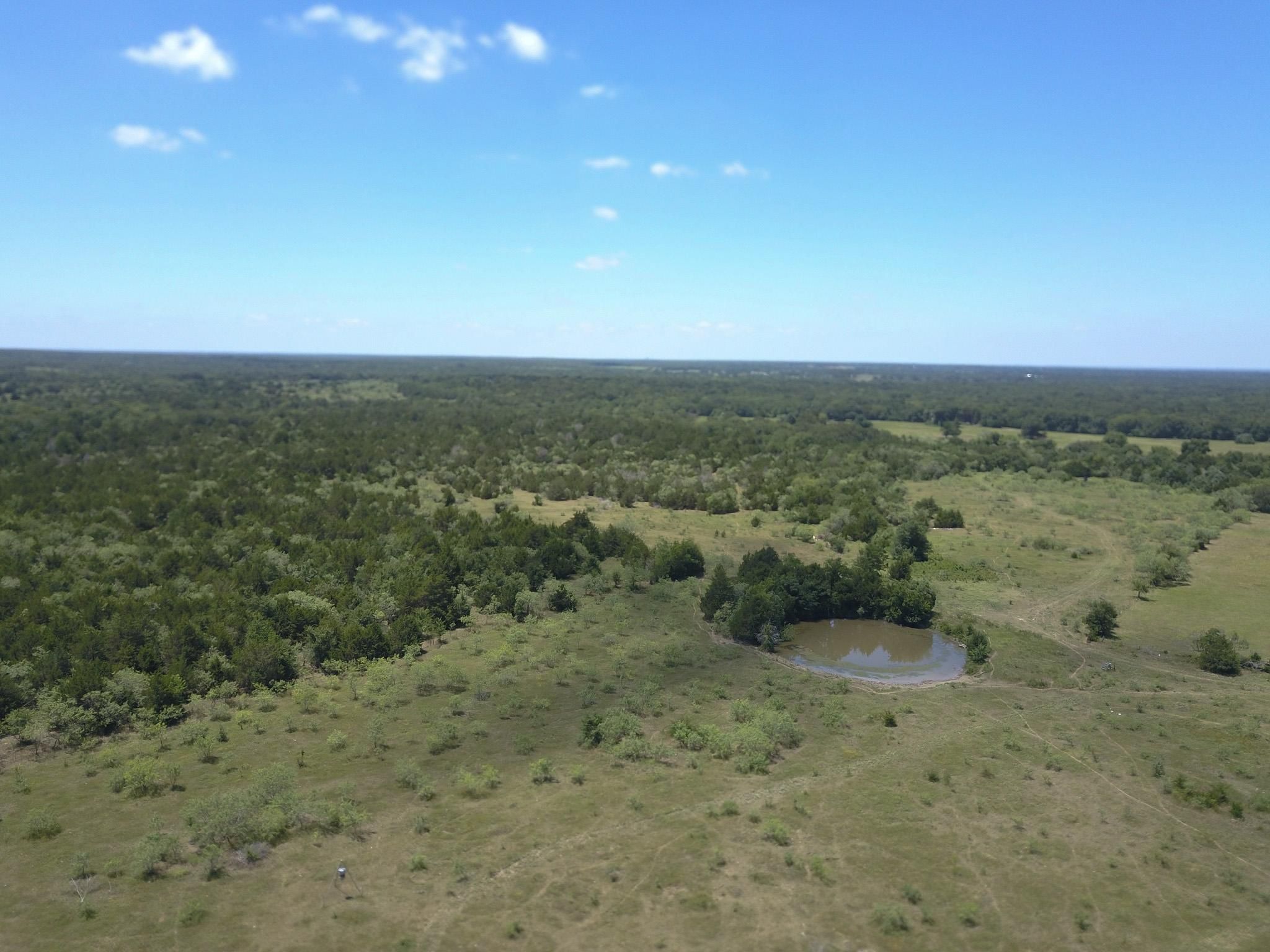 60.64 acres in Limestone County, Texas