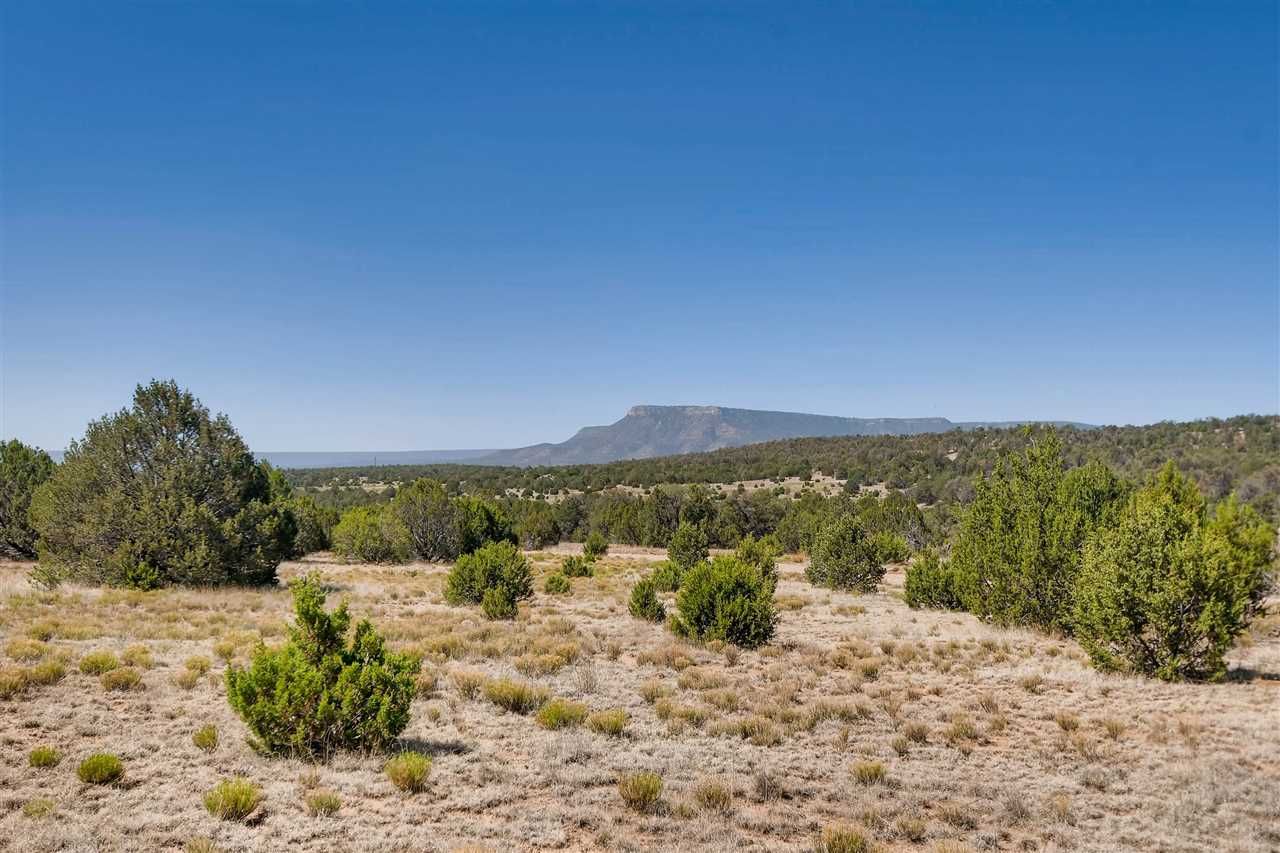 98.56 acres in San Miguel County, New Mexico