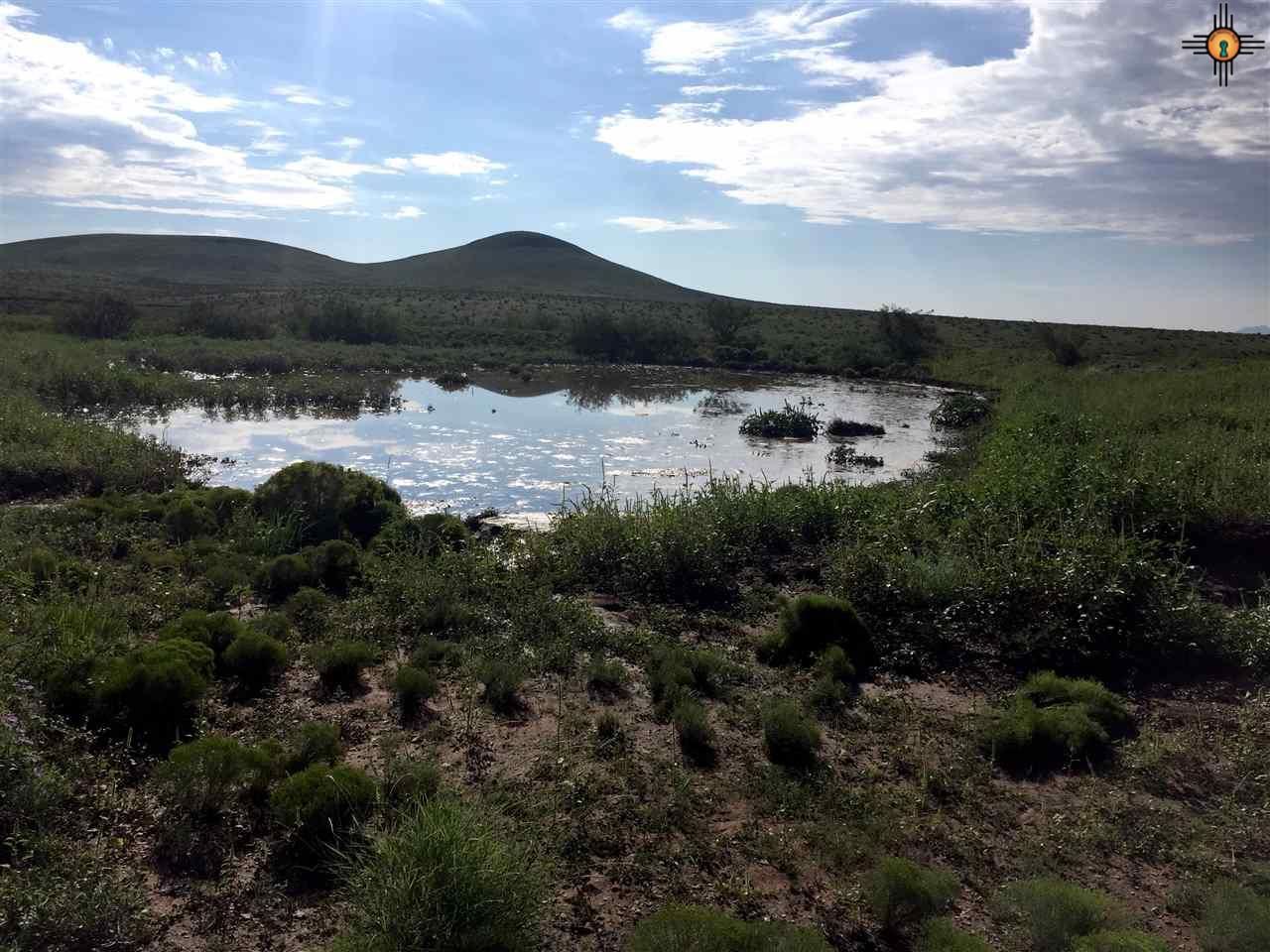 483 acres in Grant County, New Mexico