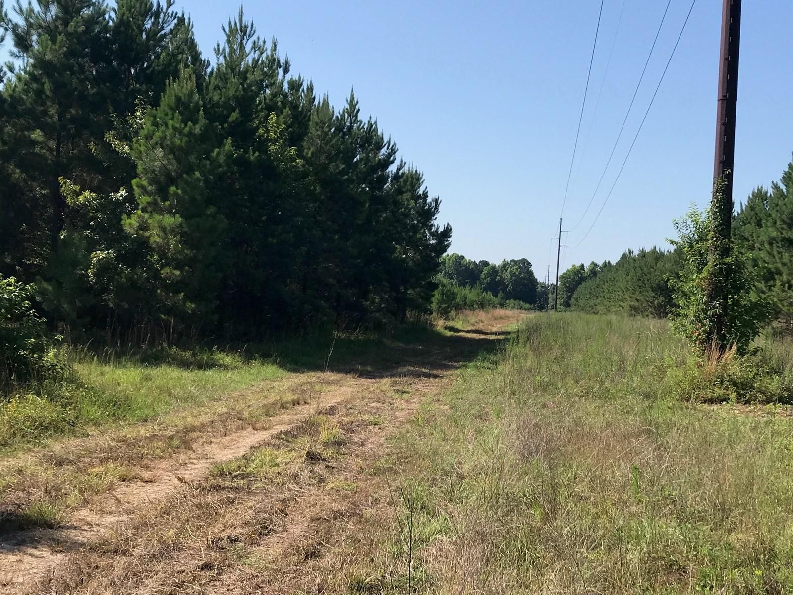 275 acres in Allendale County, South Carolina