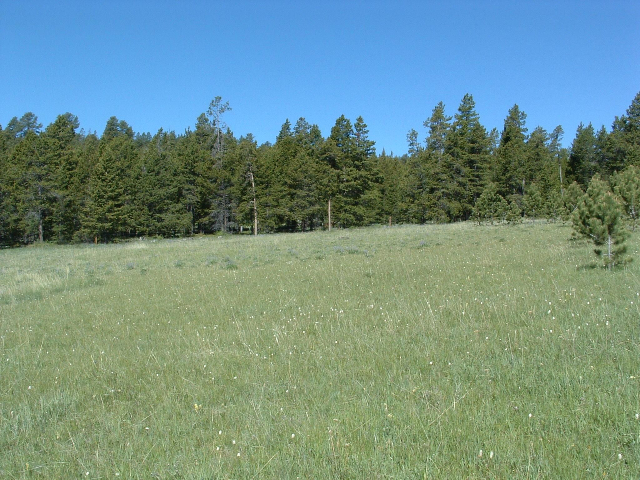 10 acres in Johnson County, Wyoming