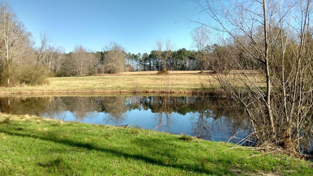 43.15 acres in Moore County, North Carolina