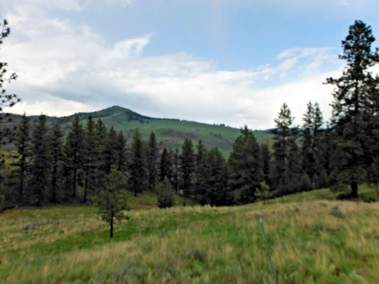 10 acres in Okanogan County, Washington