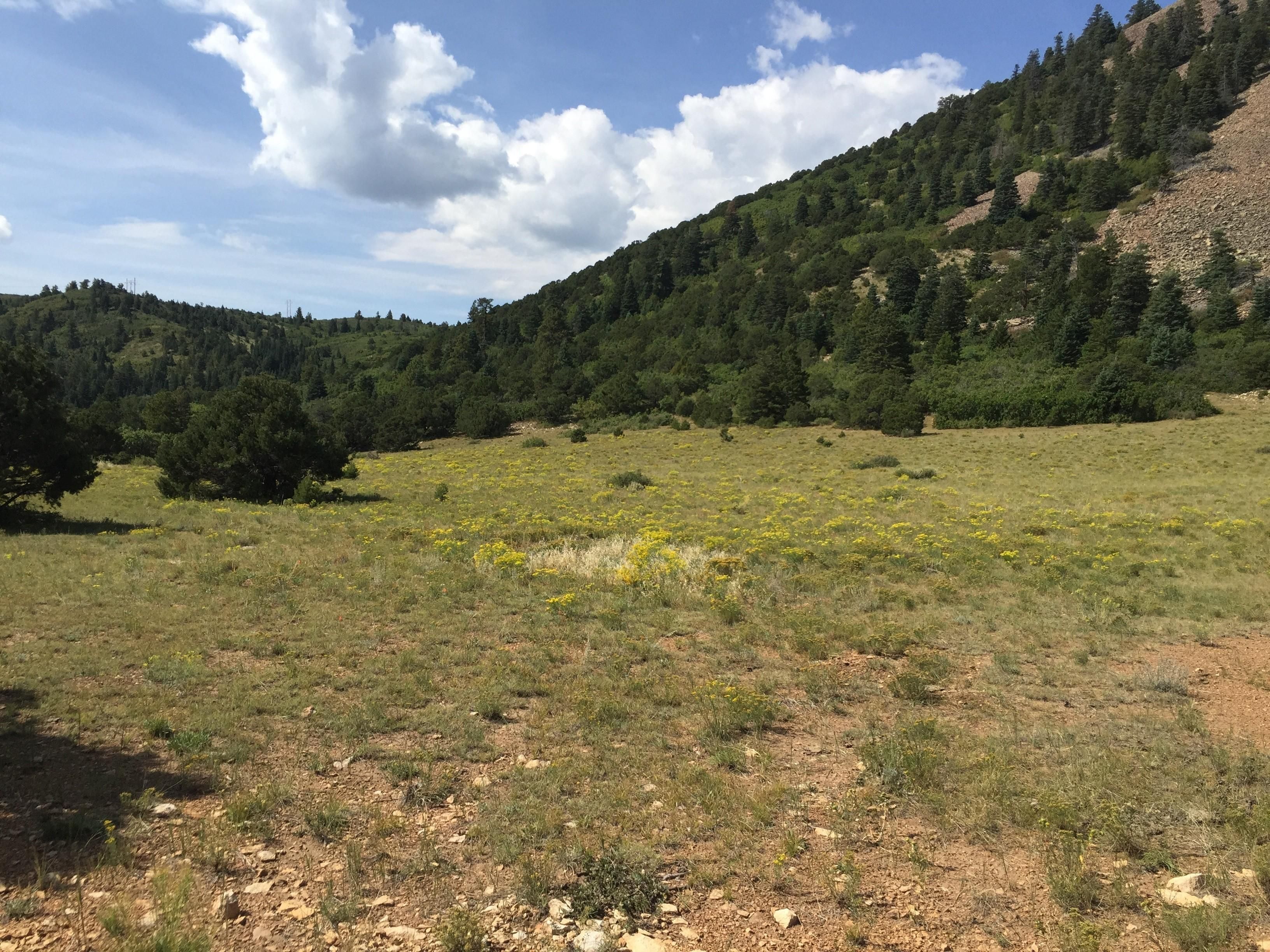 135 acres in Huerfano County, Colorado