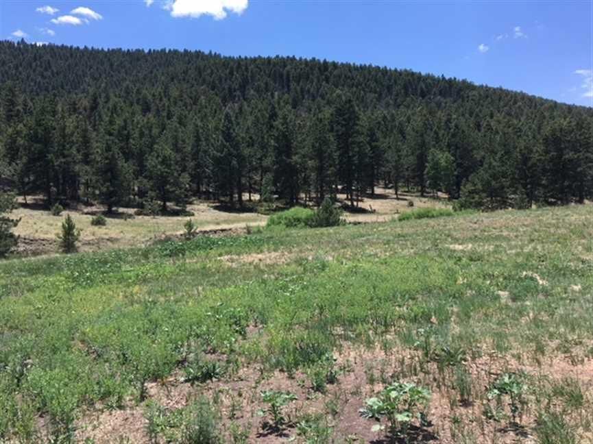 77 acres in Fremont County, Colorado